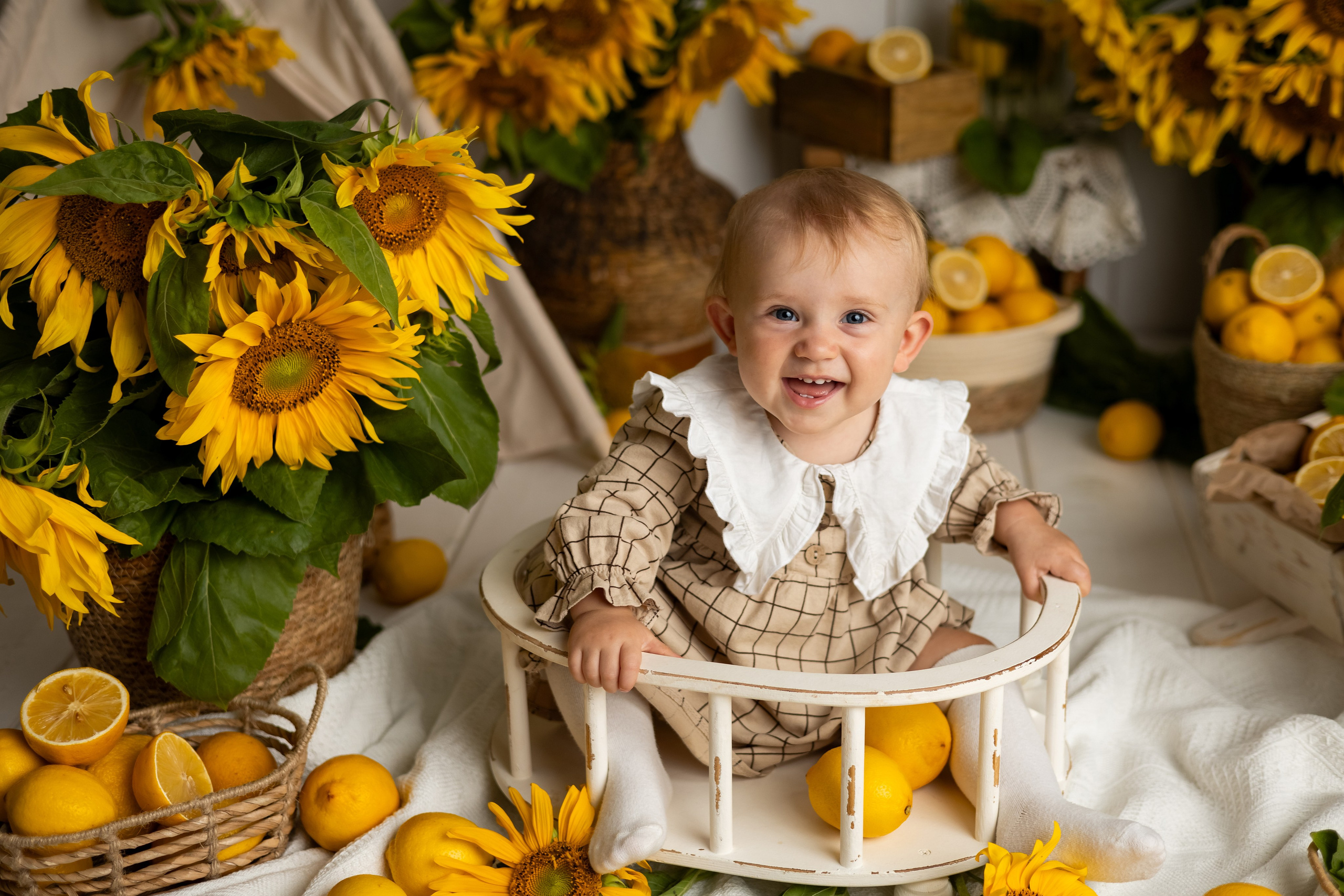 Тематические фотопроекты. Главная