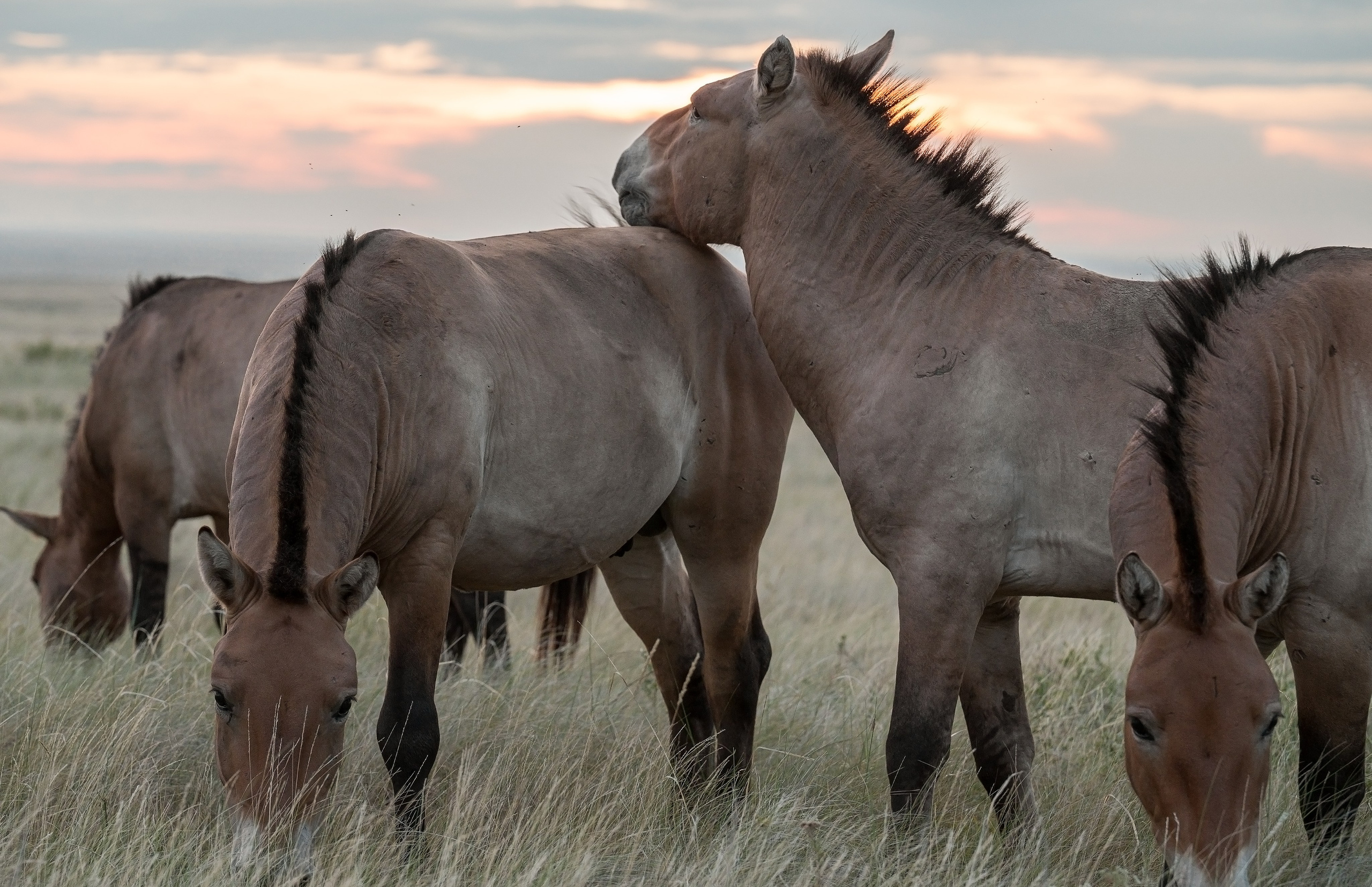 В природе. Портретный фотограф в Челябинске Катерина Руди