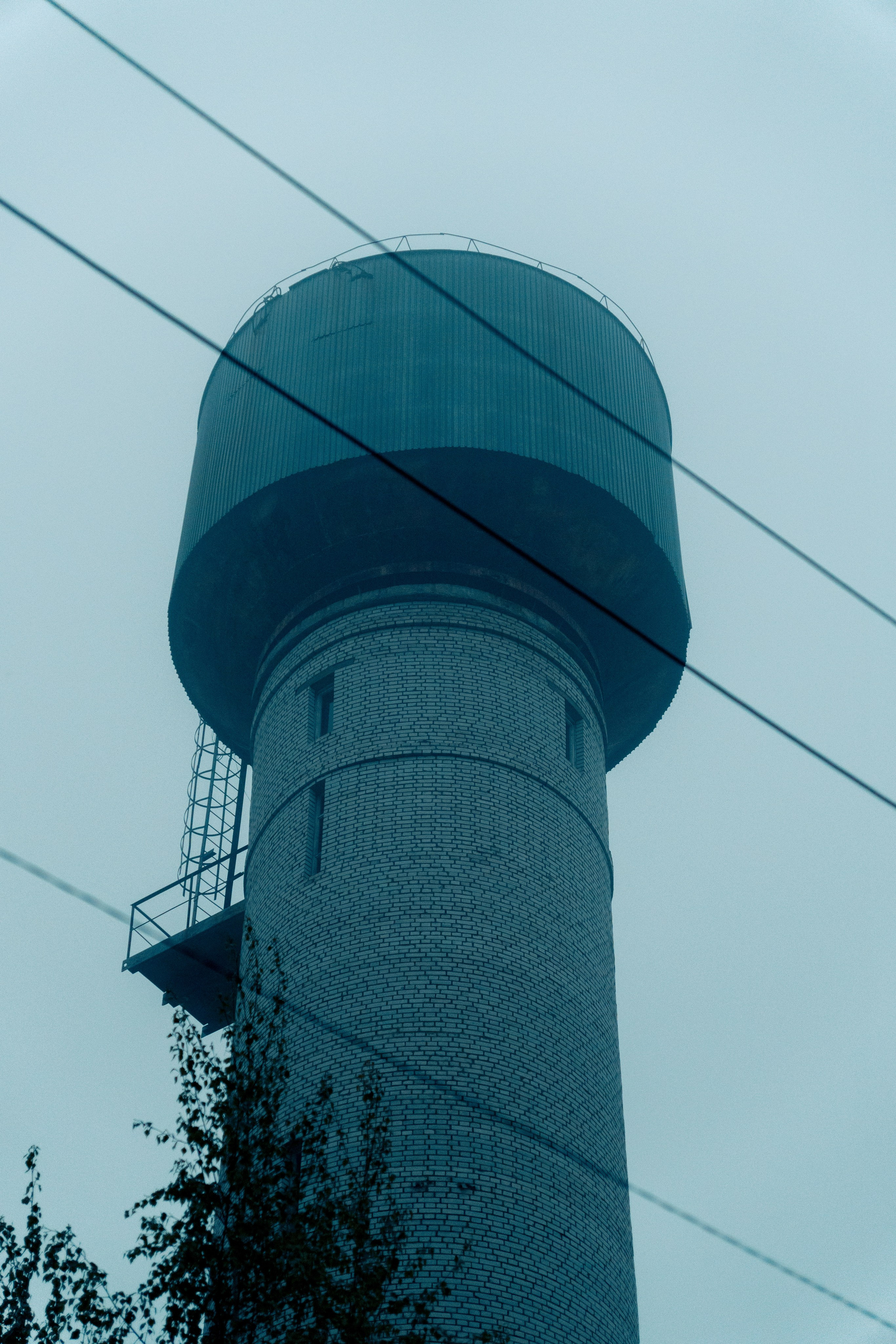 Природа. Фотограф в Санкт-Петербурге Ибрагимова Алина