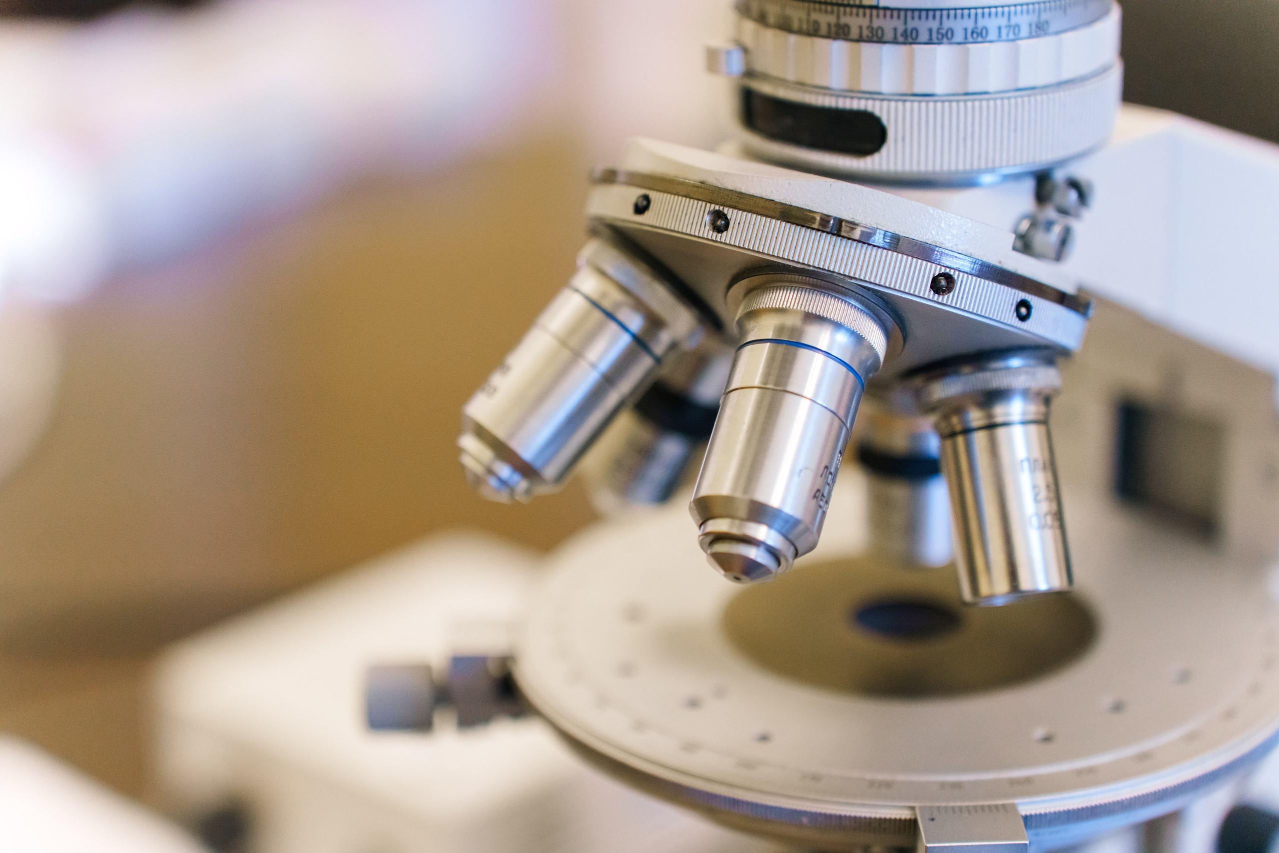 Первый чемпионат мира по геологии 2025. Фотограф в Санкт-Петербурге Ибрагимова Алина