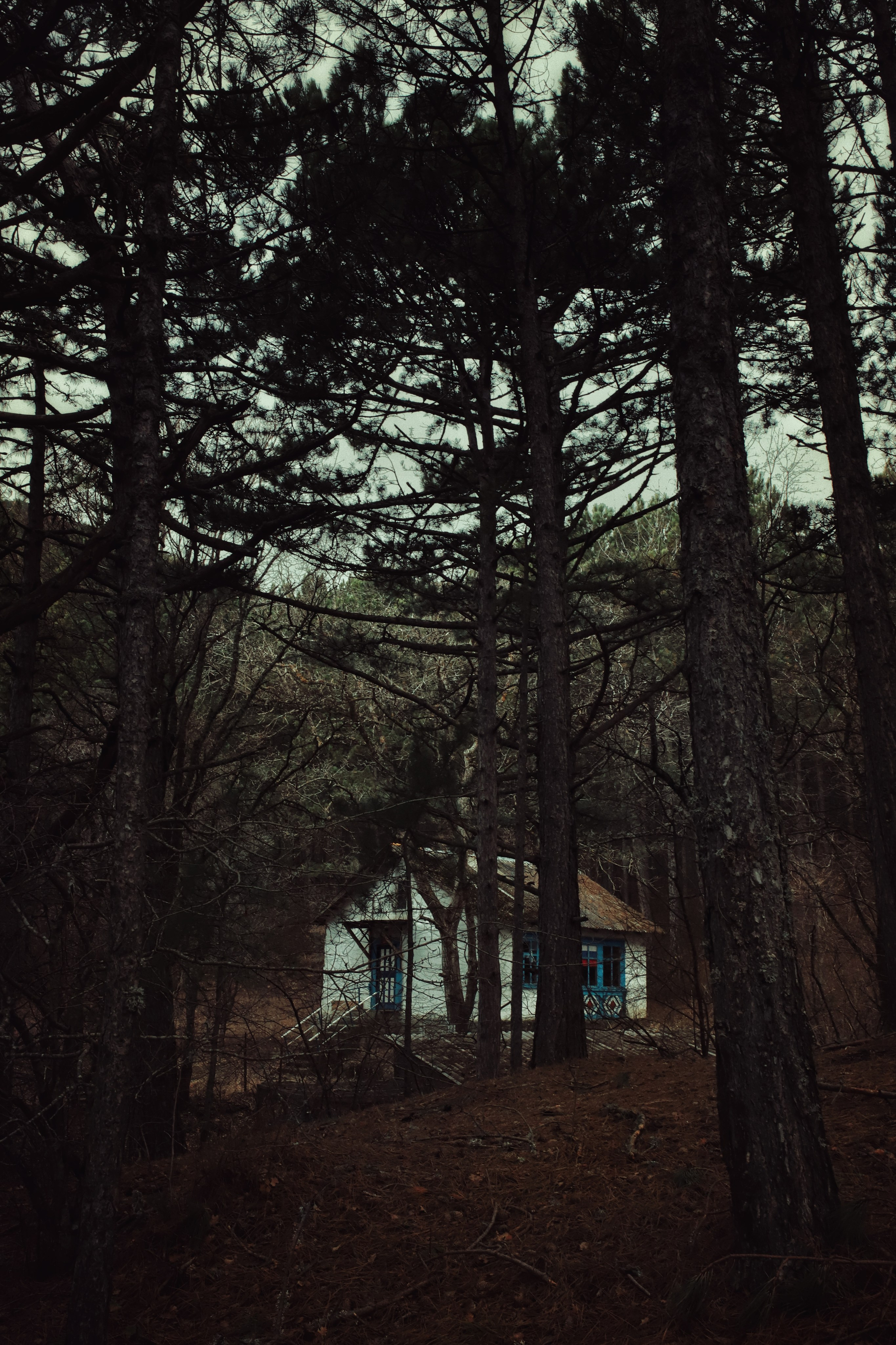 Бирюзовое озеро. Фотограф и видеограф в Санкт-Петербурге