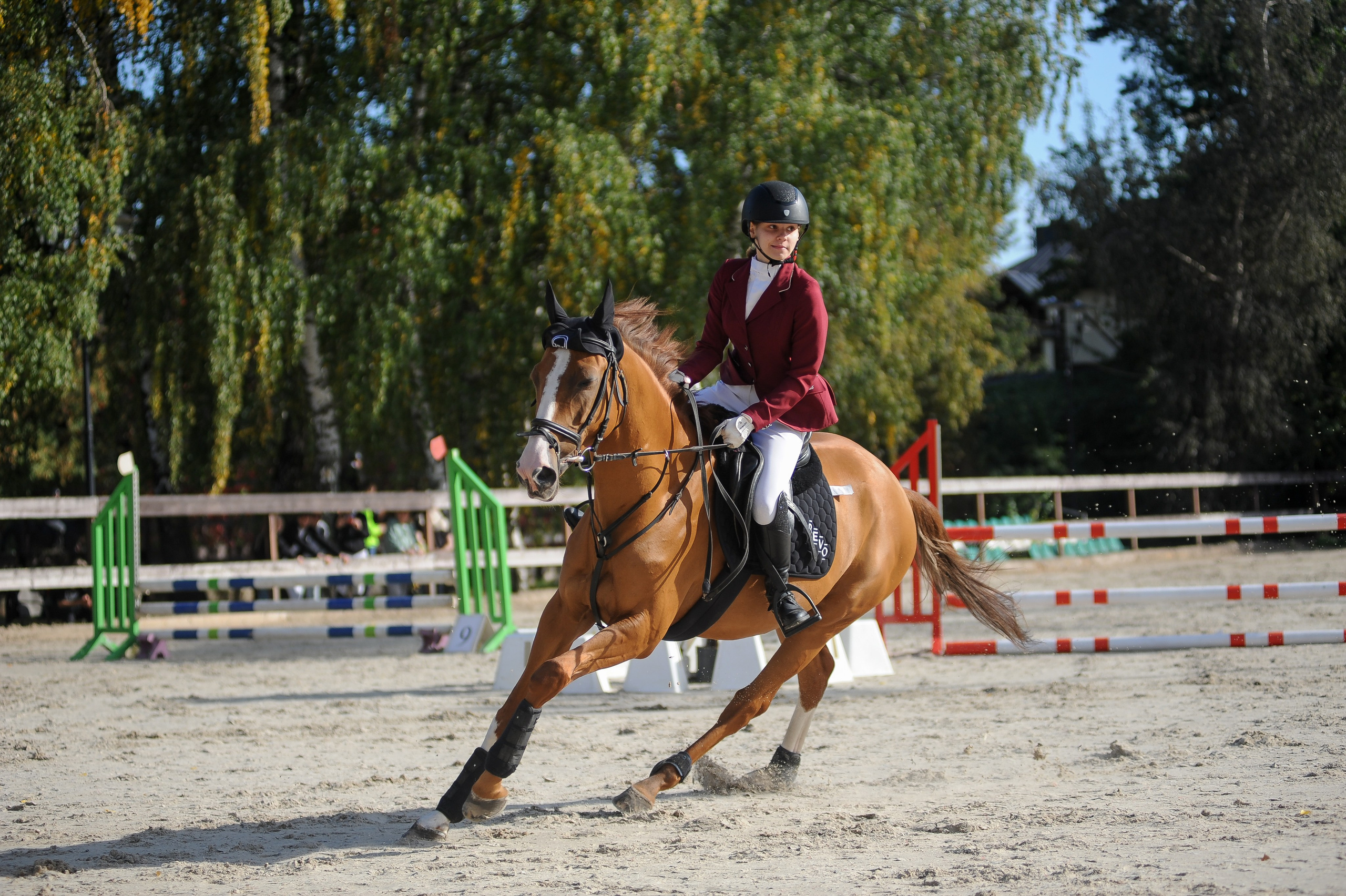 Конкур в конном клубе, репортаж Москва. Фотограф, визажист. Москва