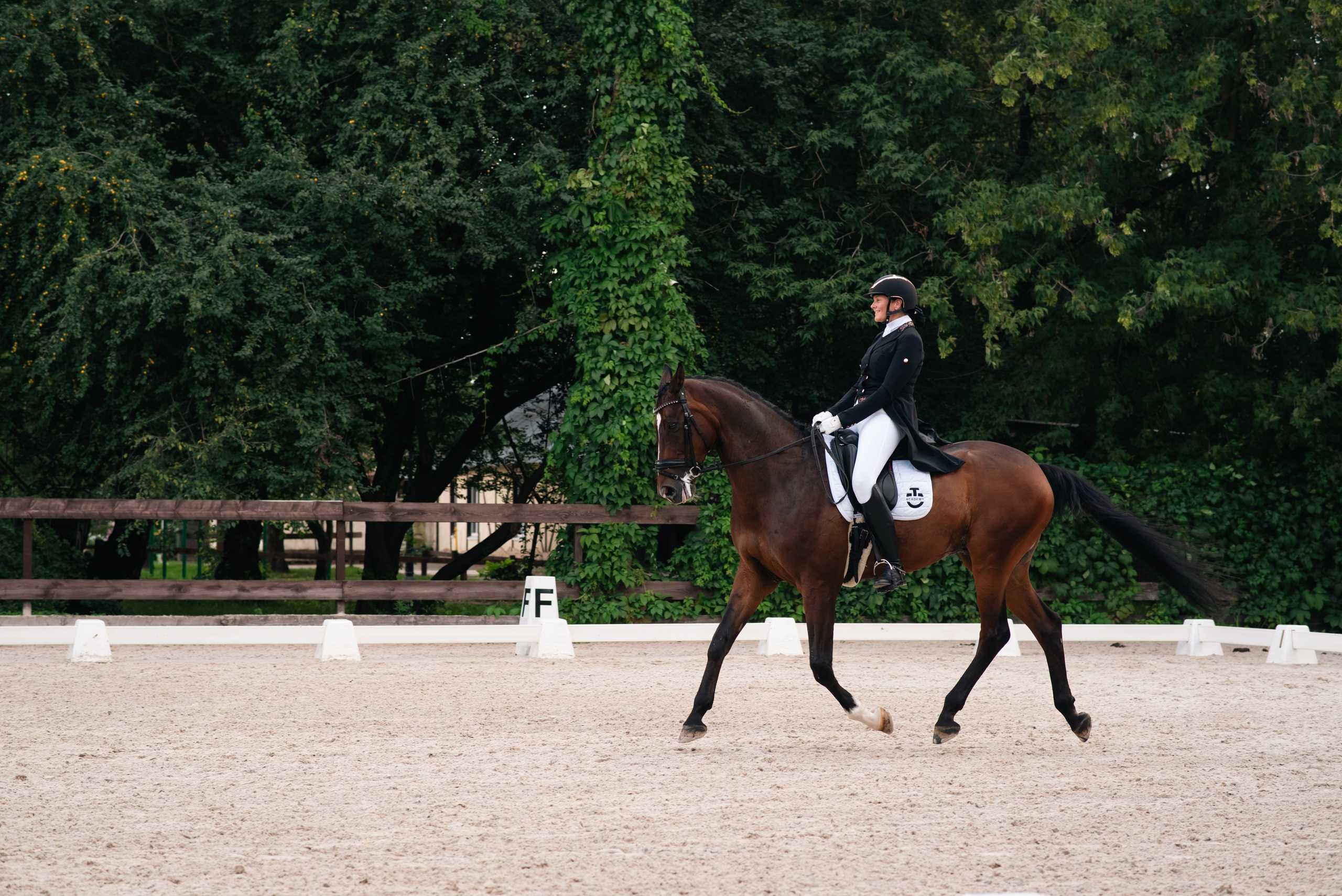 Выездка 10.08.25. Фотограф, визажист. Москва
