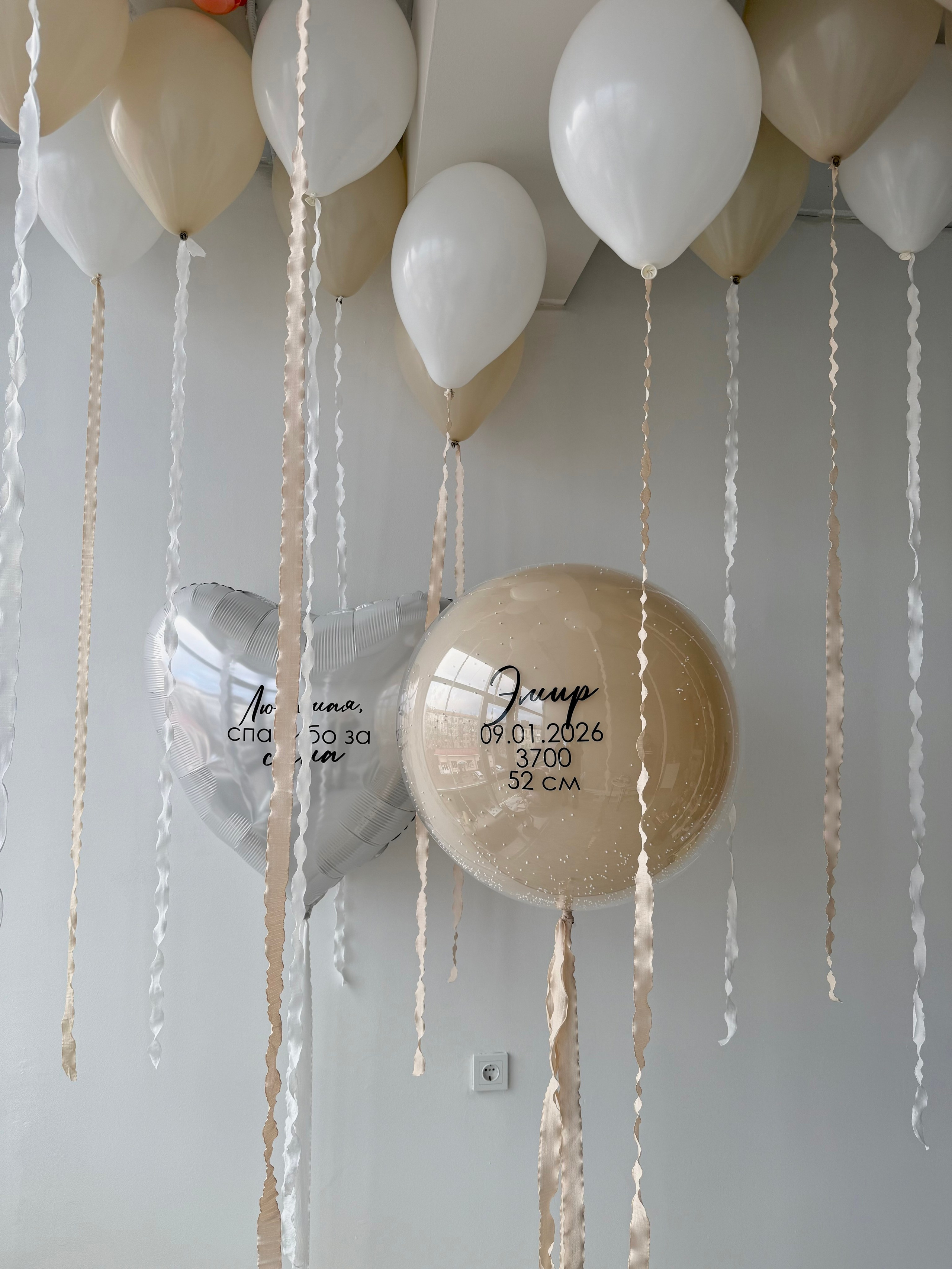 Выписка. Фабрика праздника