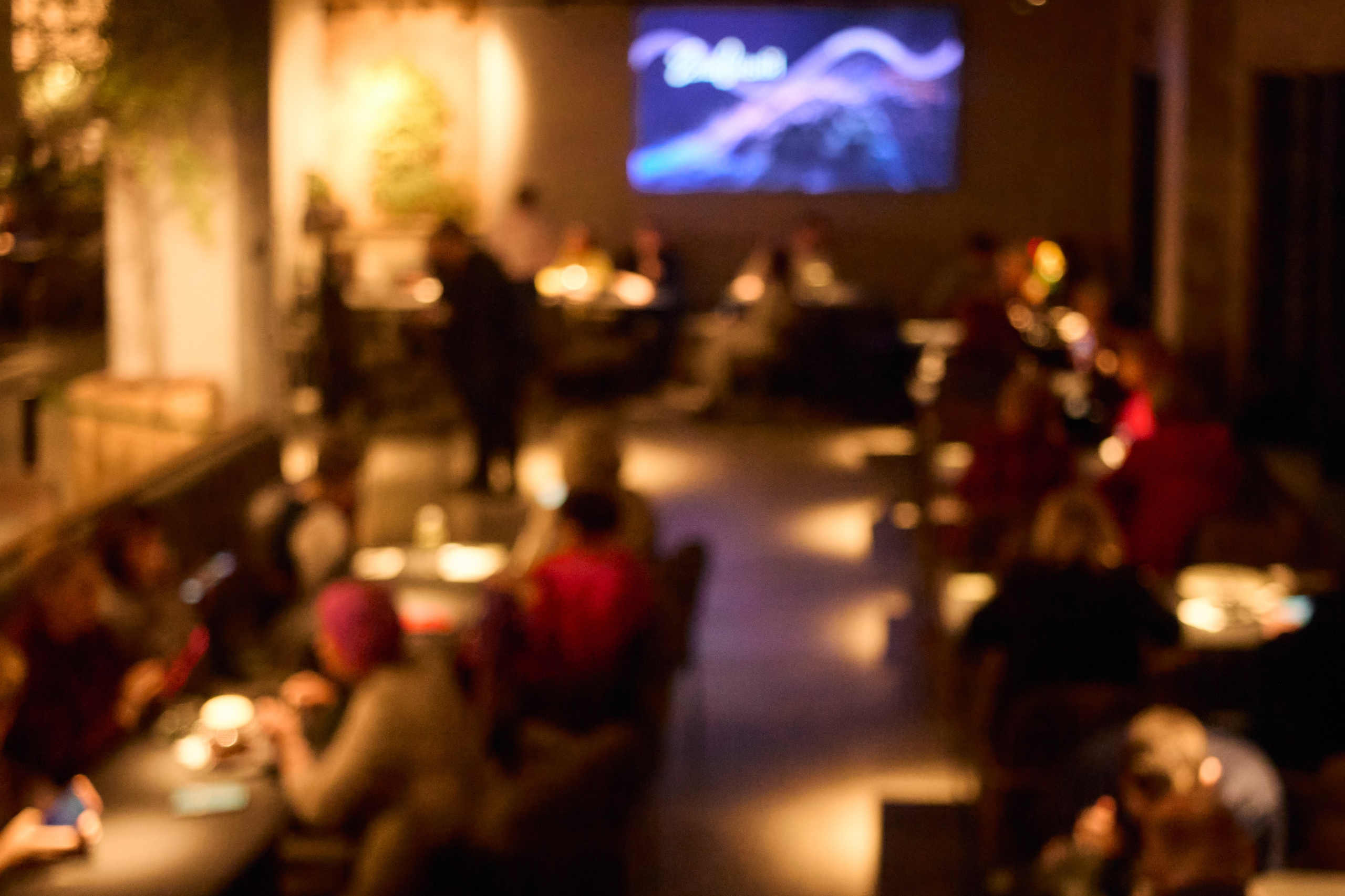 Поэтический вечер Венеры Валевской. Фотограф из Первоуральска Роман Заиченко