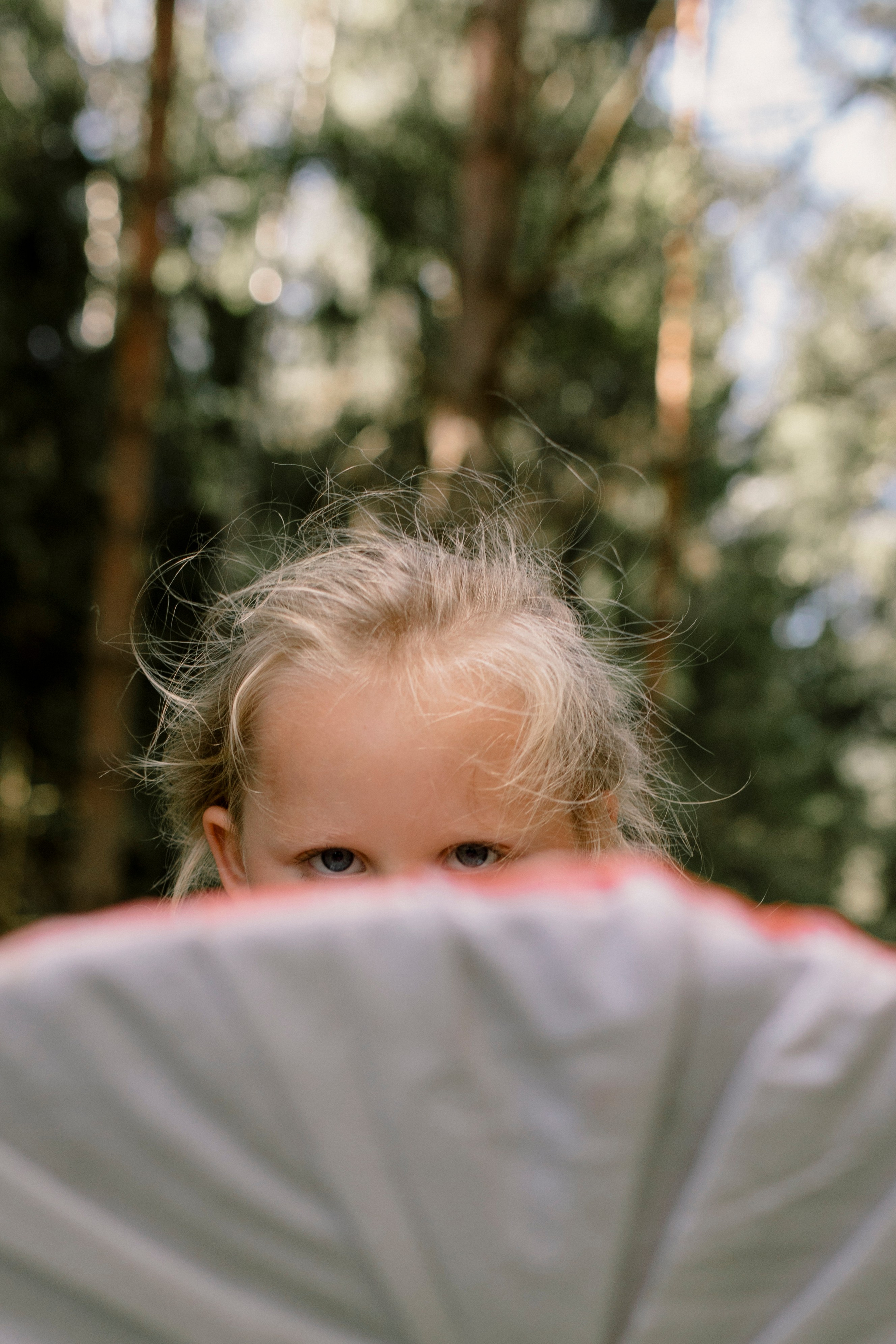 Грибы. Ольга Пилант. АРТ, бэкстейдж, свадебная и семейная фотография, городской портрет, интерьерная фотография