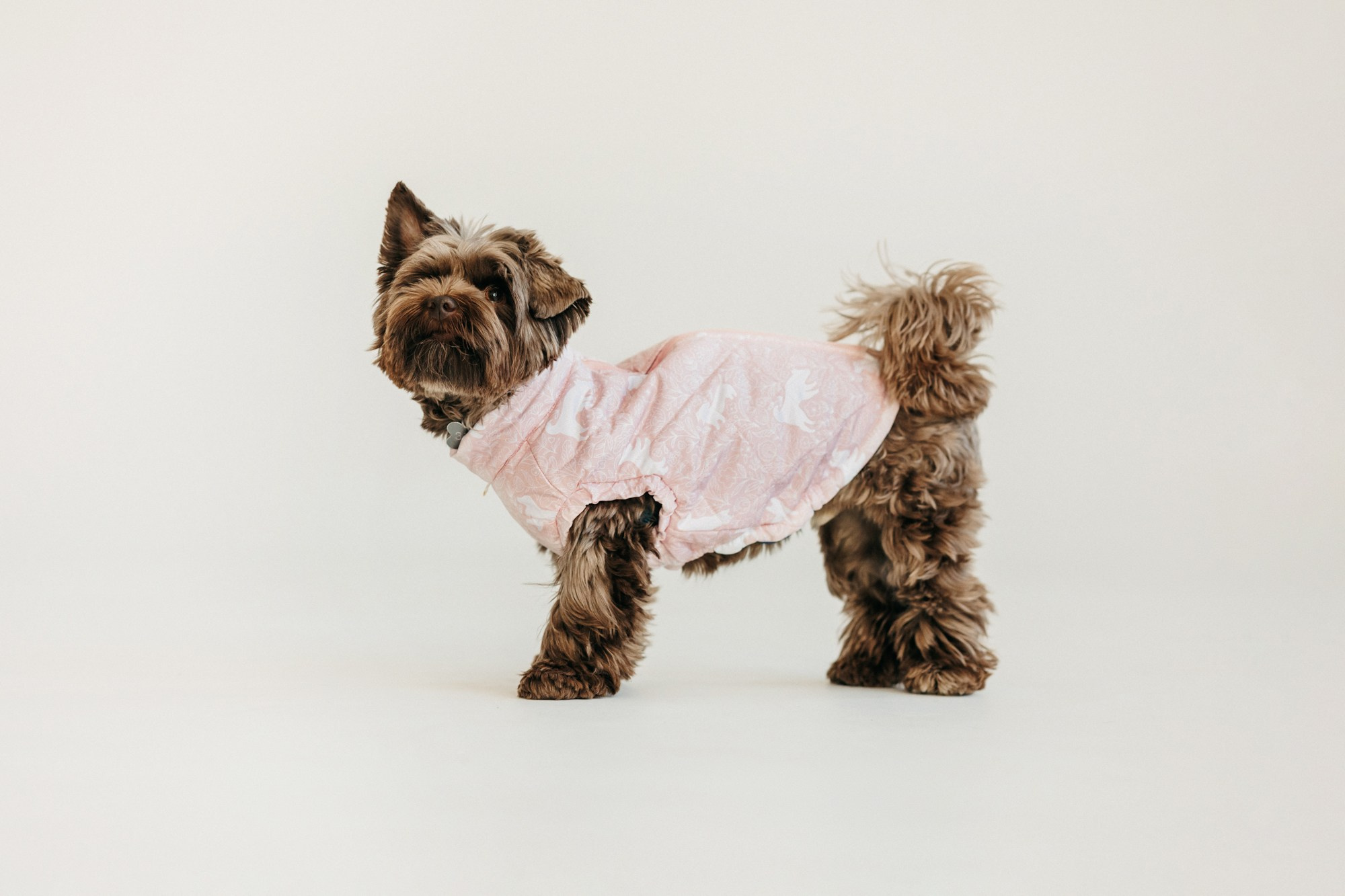 Одежда Lapa`s brand. Фотограф-анималист Елена Радченко, Москва