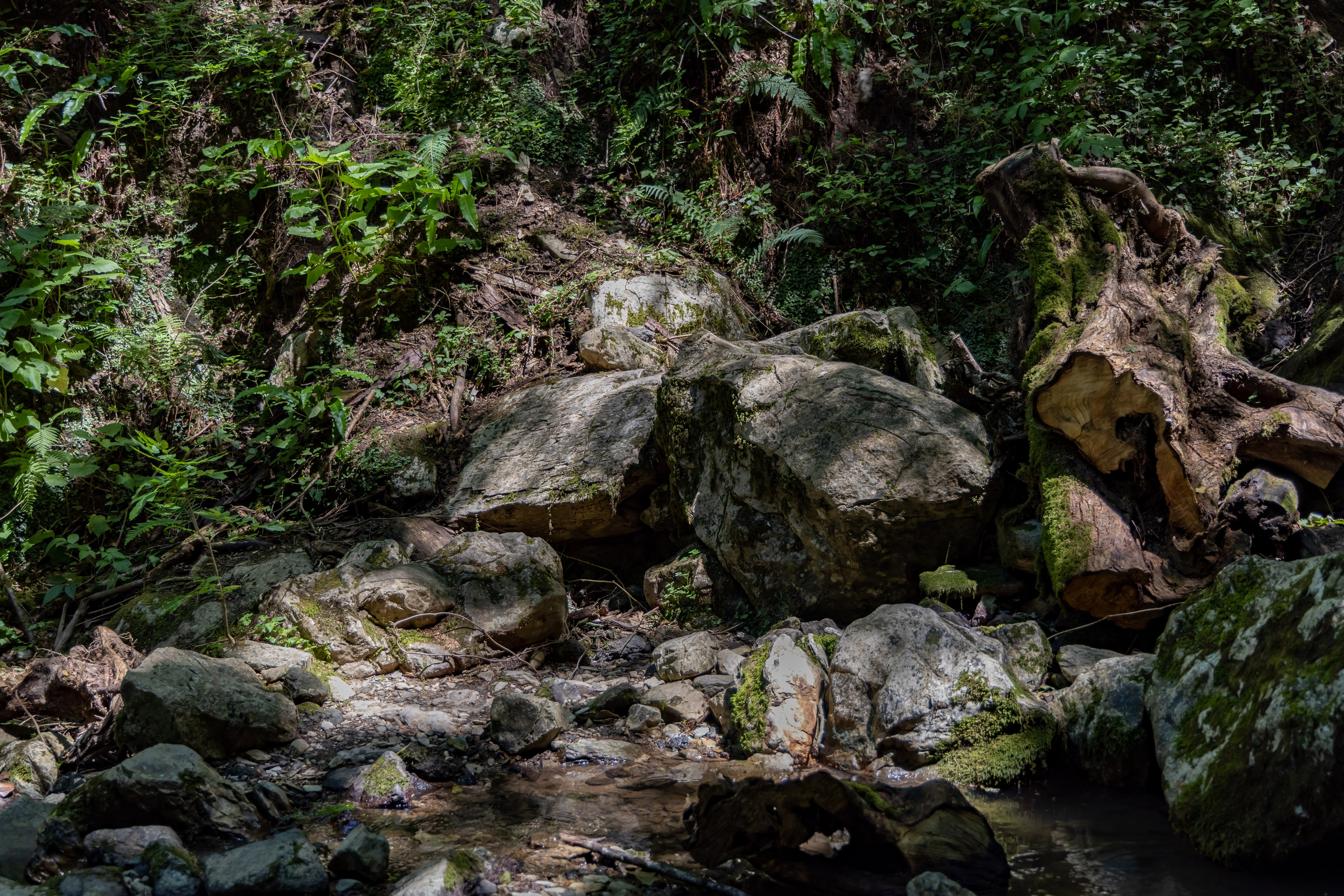 Сочи. Солох Аул. Репортажный, семейный и студийный фотограф в Москве Демин Алексей