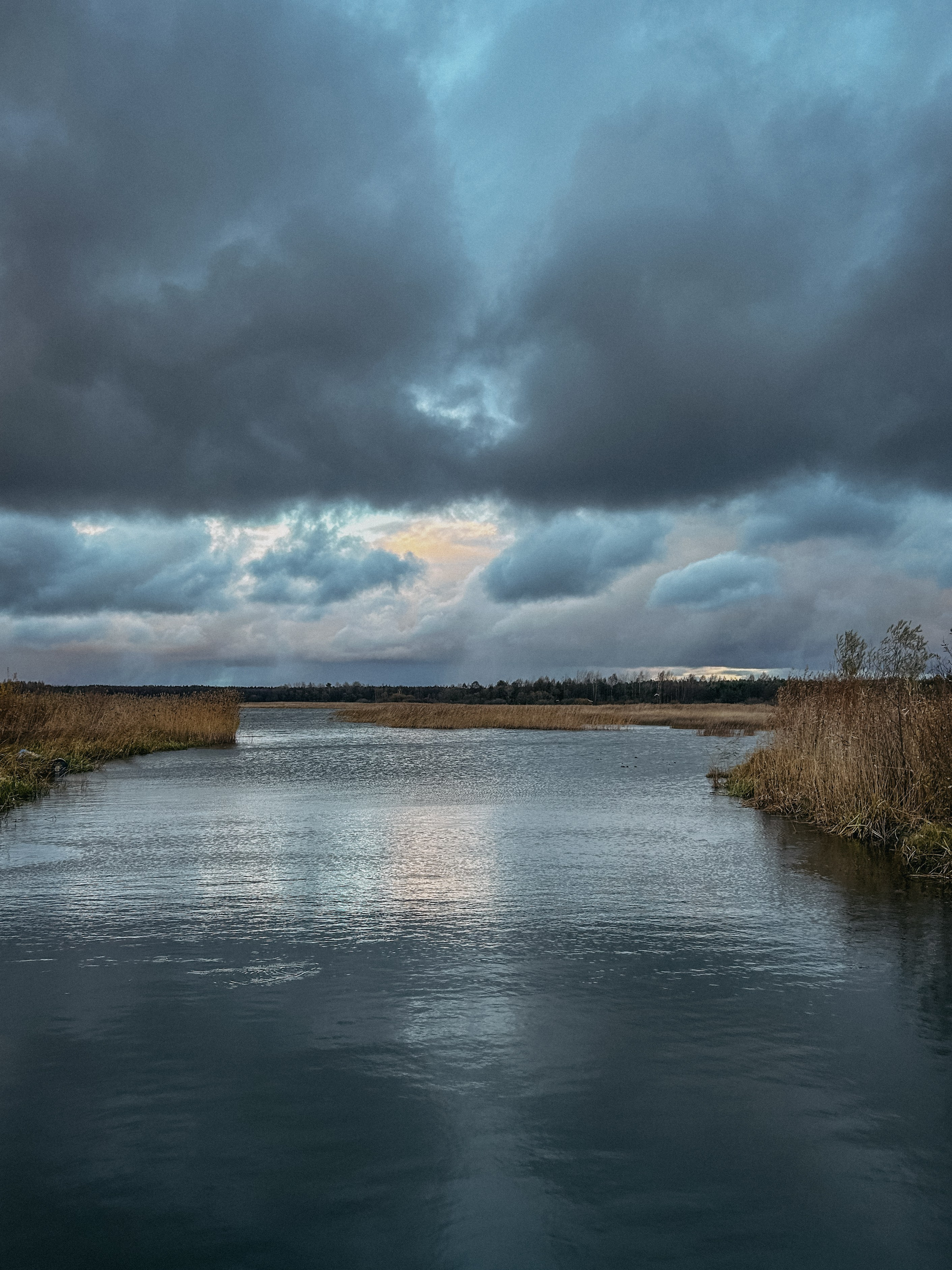 Природа. Фотокружок «Видоискатель» ГБОУ СОШ № 291