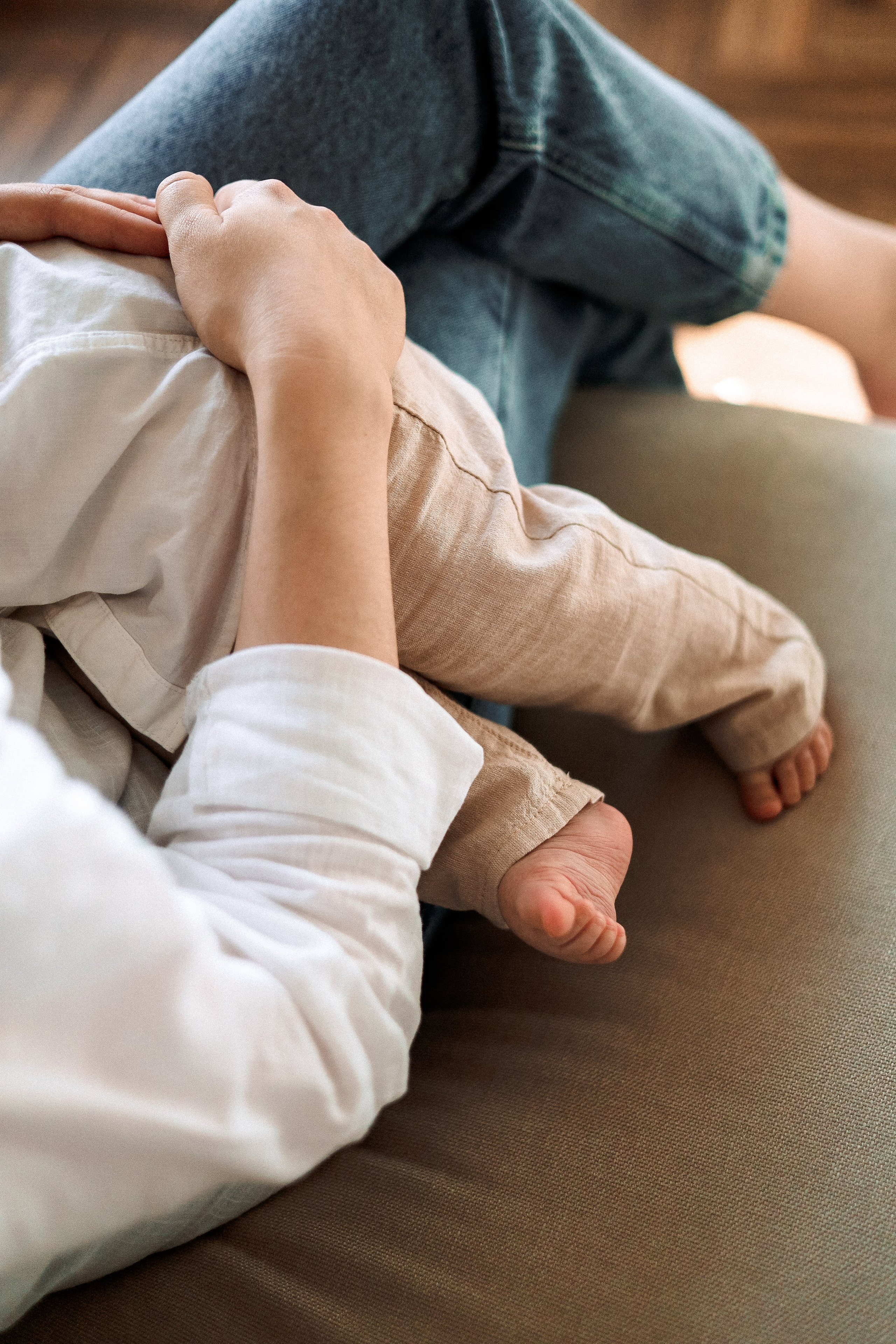 Лев 1 годик. Главная