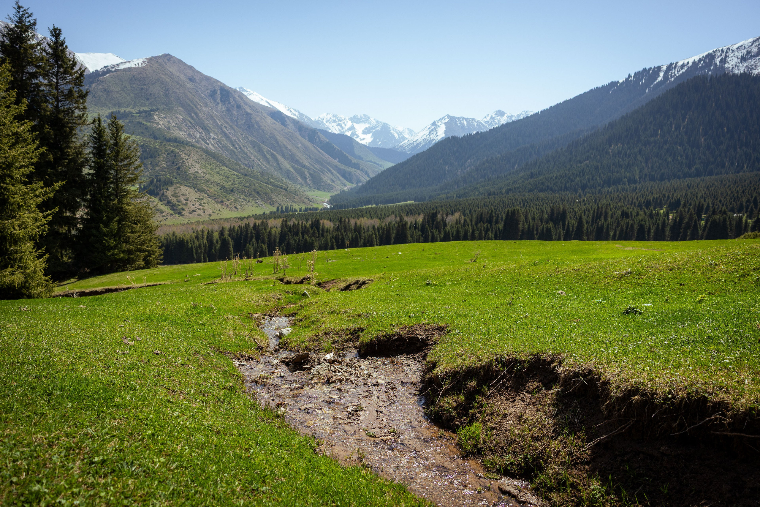 Кыргызстан (весна 2025). Фотограф Виноградов Константин