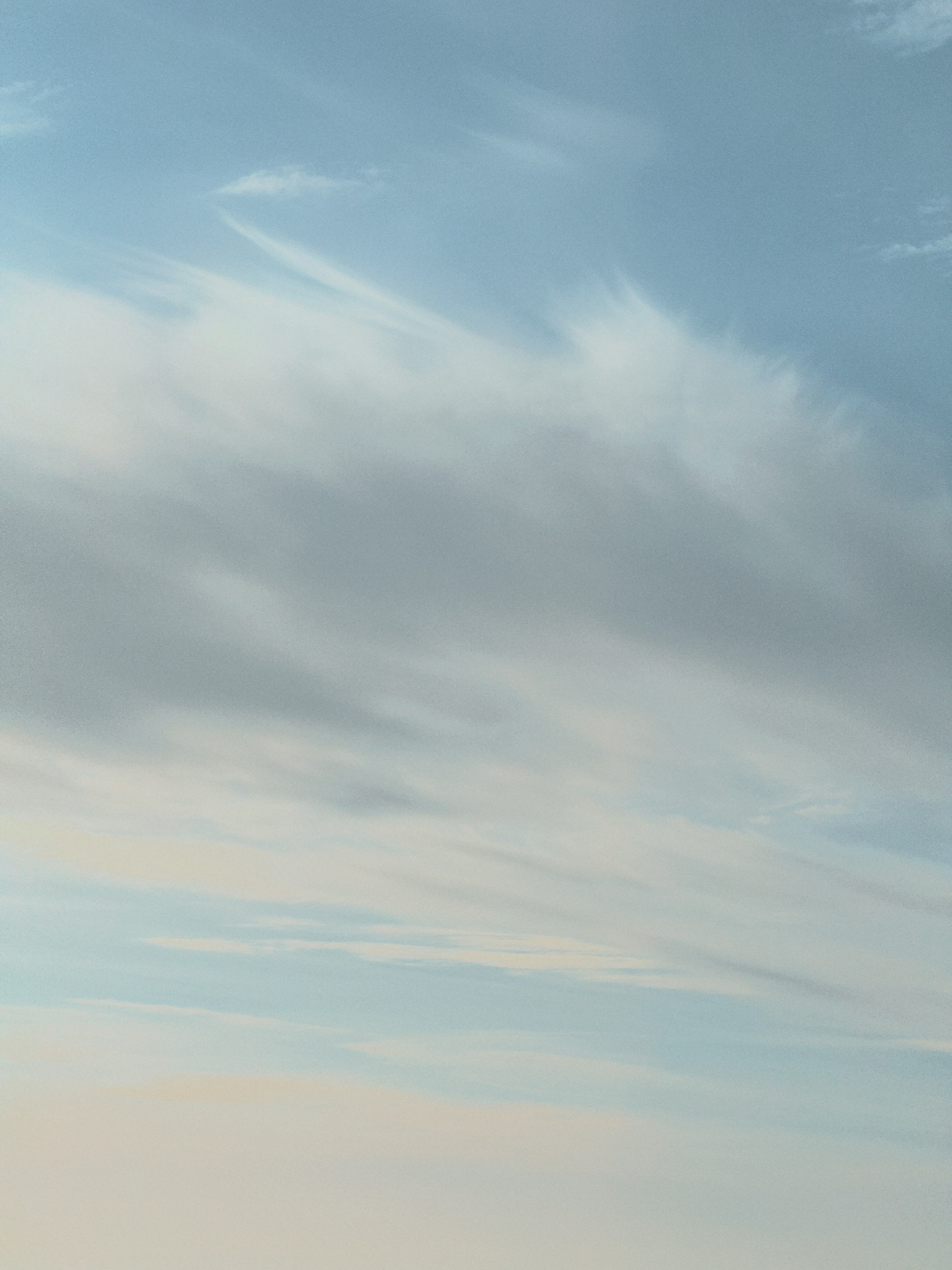 Телефон. Film and another stuff