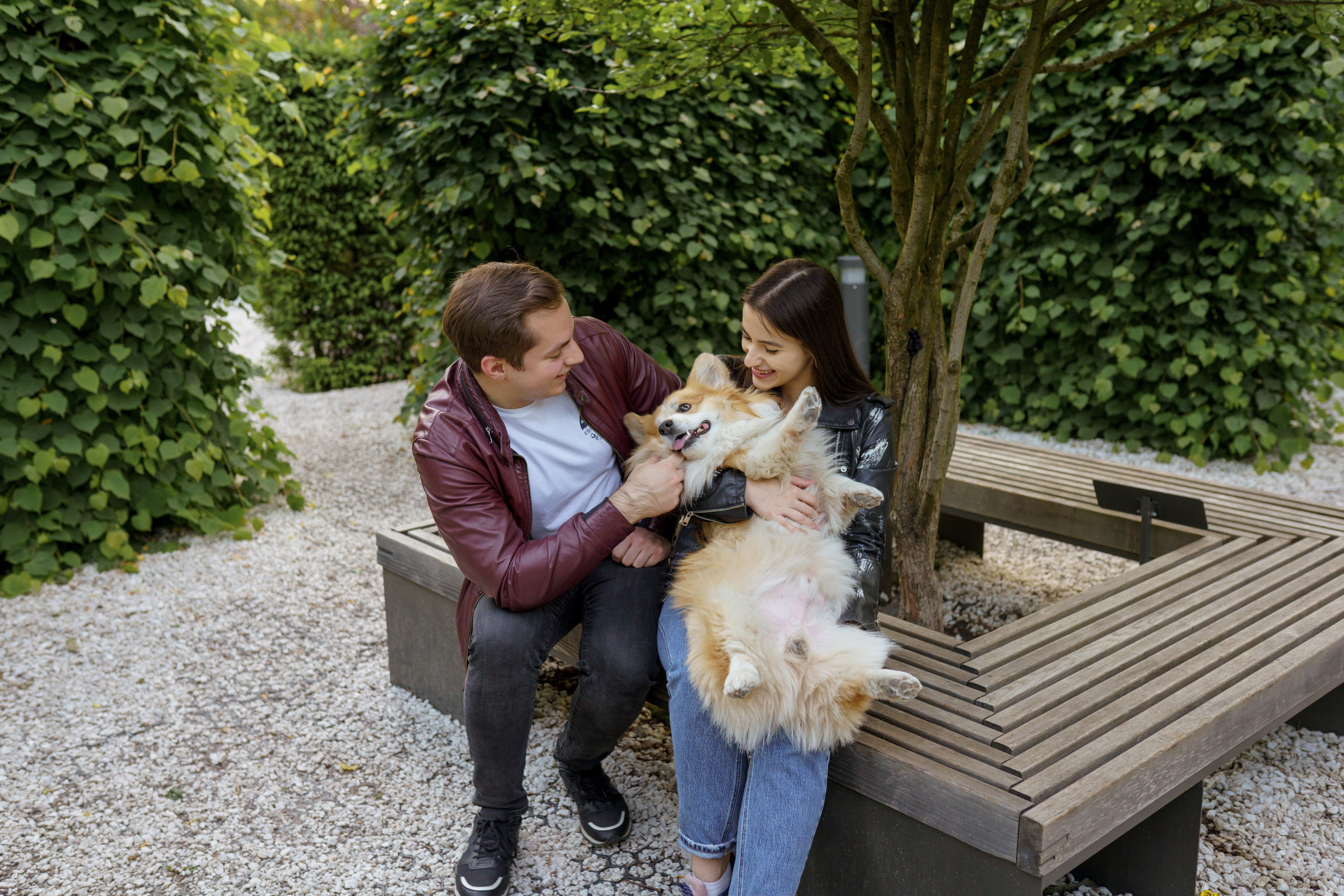 Катя, Арсений и Пух. Свадебный фотограф в Москве Анна Полушина