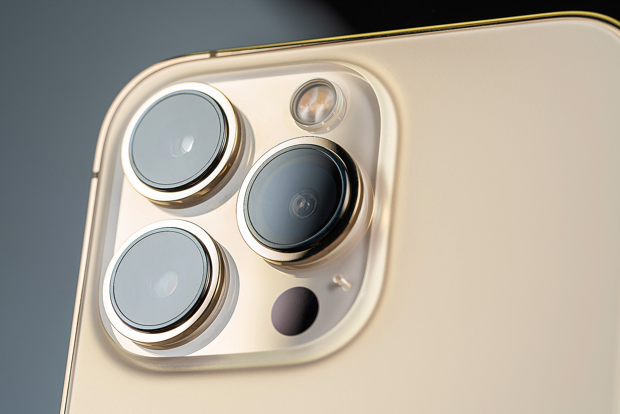 Студия Ивана Жданова