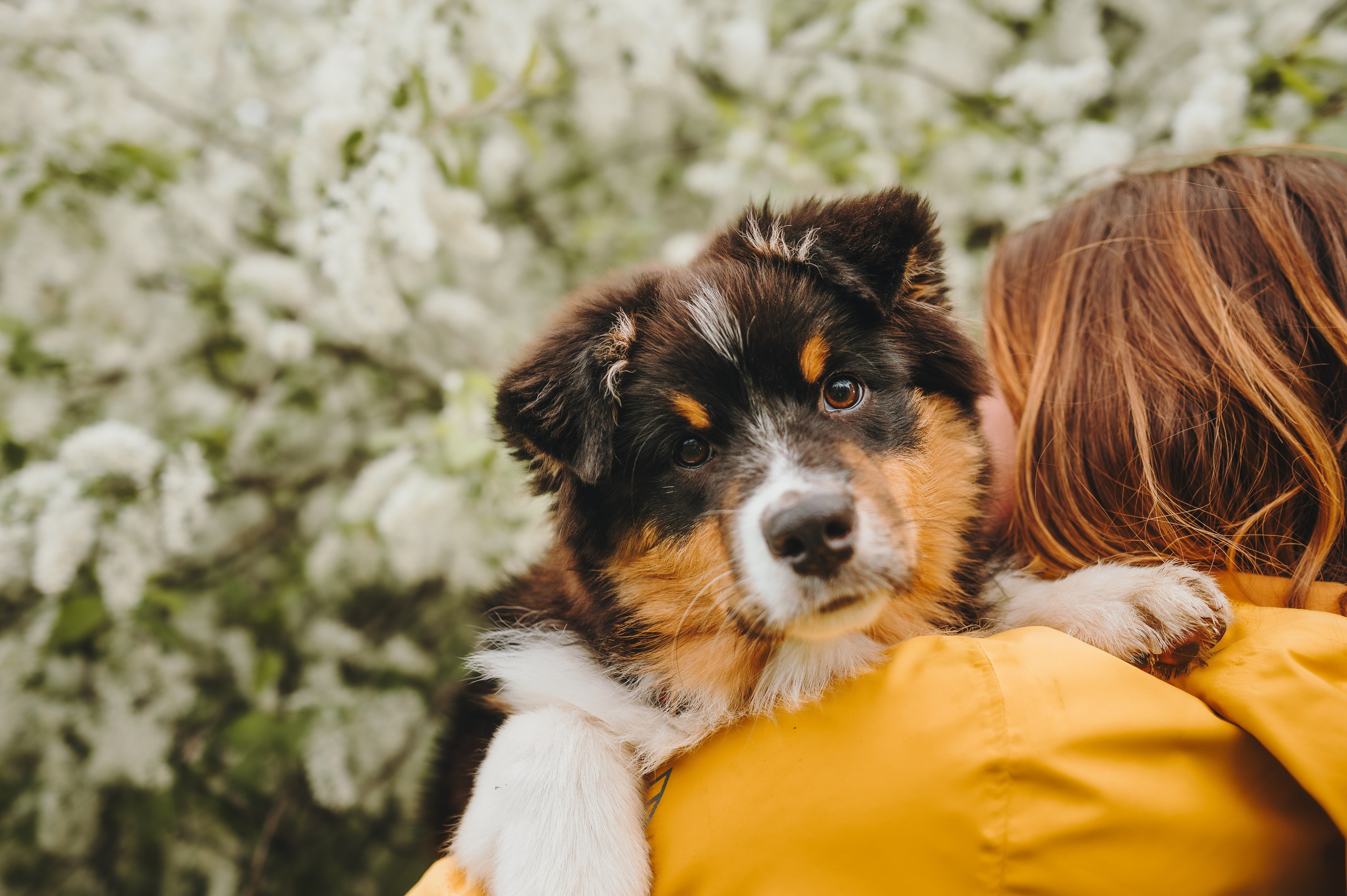 Софья и Сажик. Семейный фотограф анималист Ананьева Мария — Москва