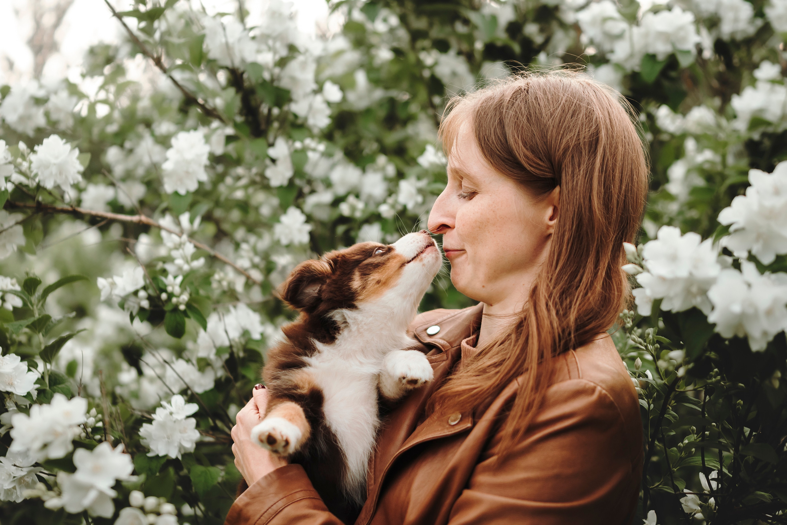 Вика, Ари и Нави. Семейный фотограф анималист Ананьева Мария — Москва