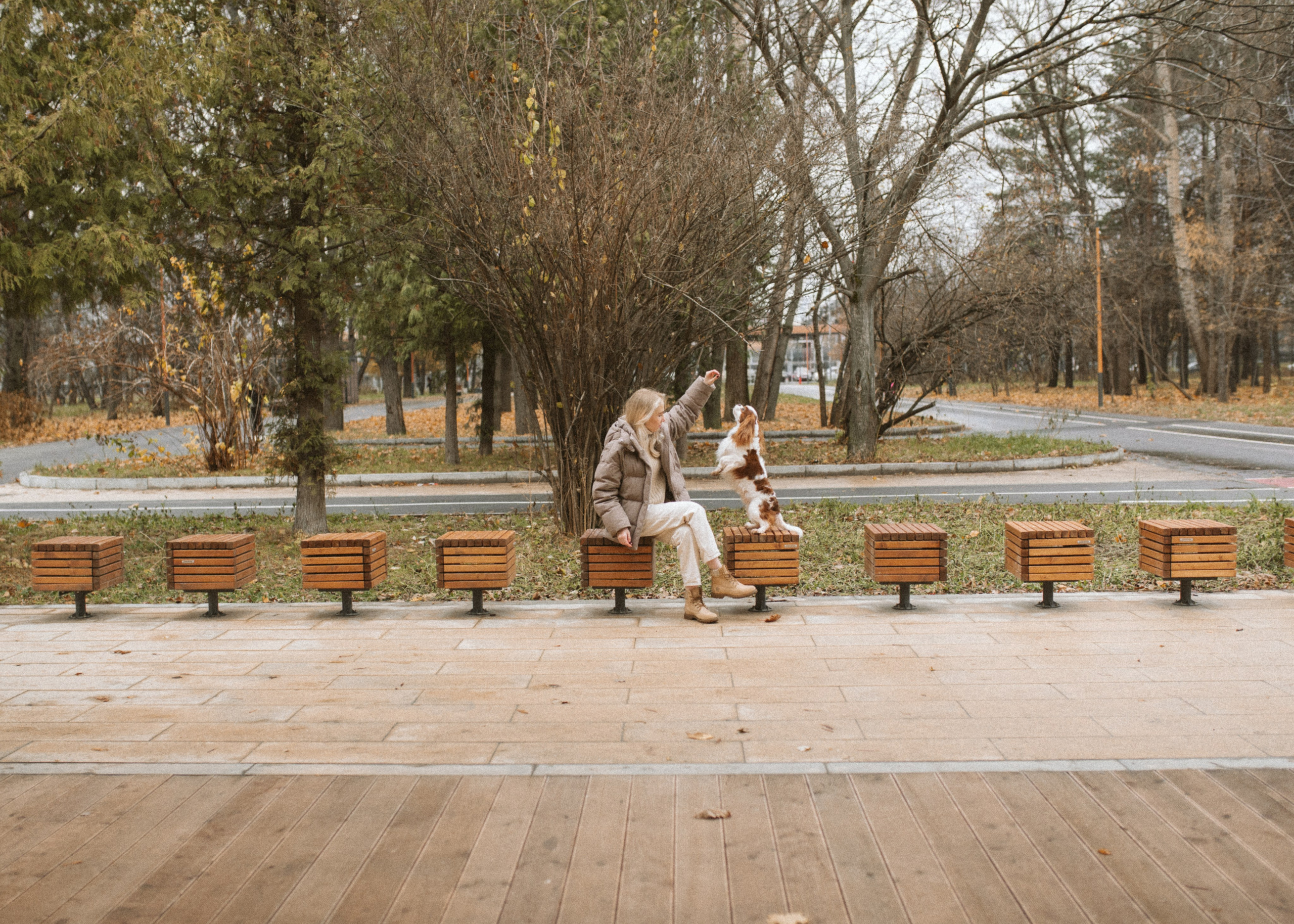 Настя и Тэйлор. Фотограф анималист в Москве Ольга Агушева