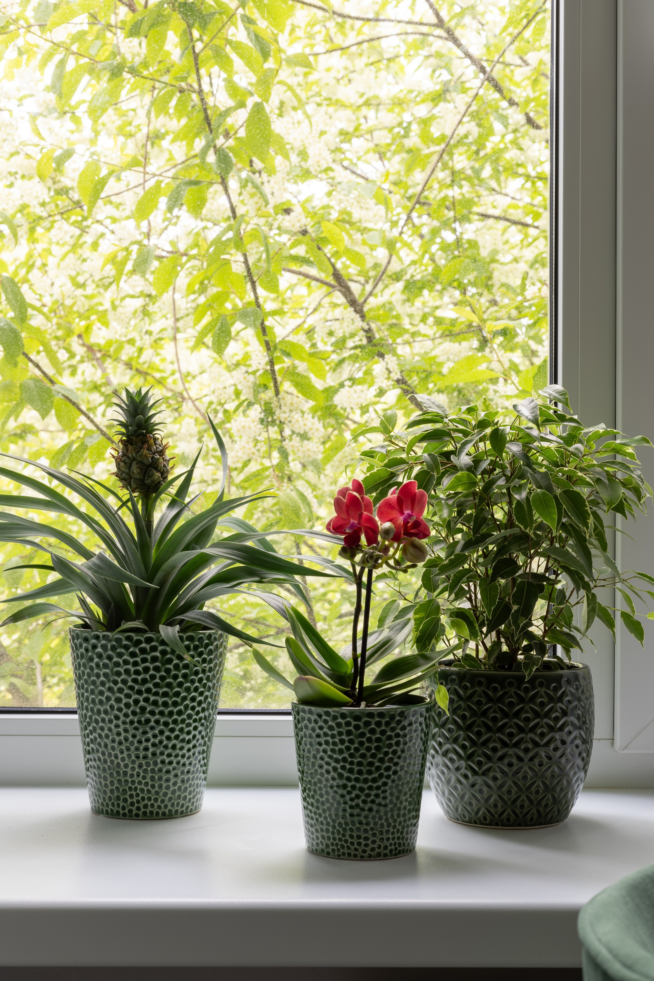 Жить на Литовской. Полина Носкова интерьерный фотограф