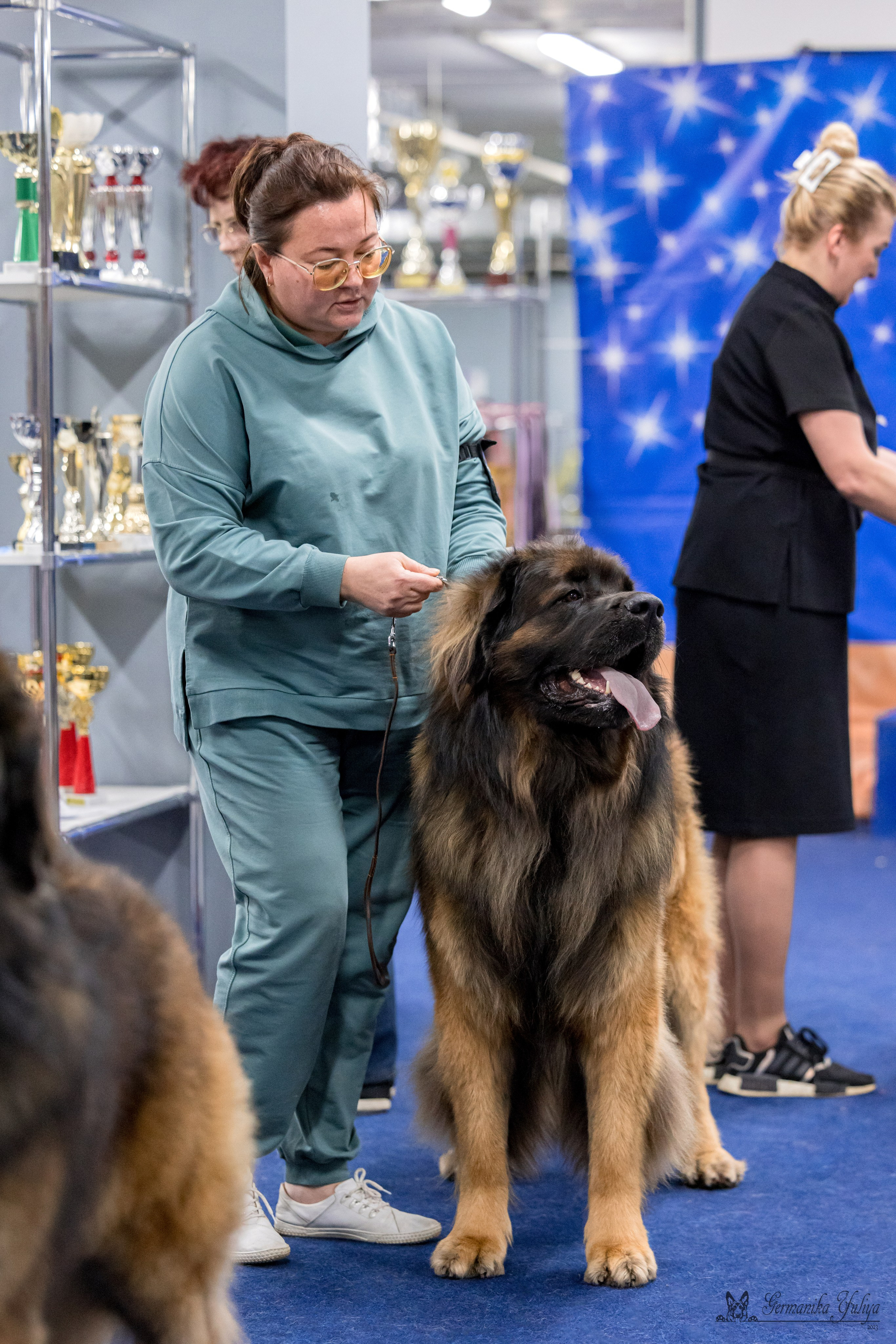 Сфера 29.10,Крокус 4.11,Сфера 12.11.2023. Фотограф-анималист Юлия Германика