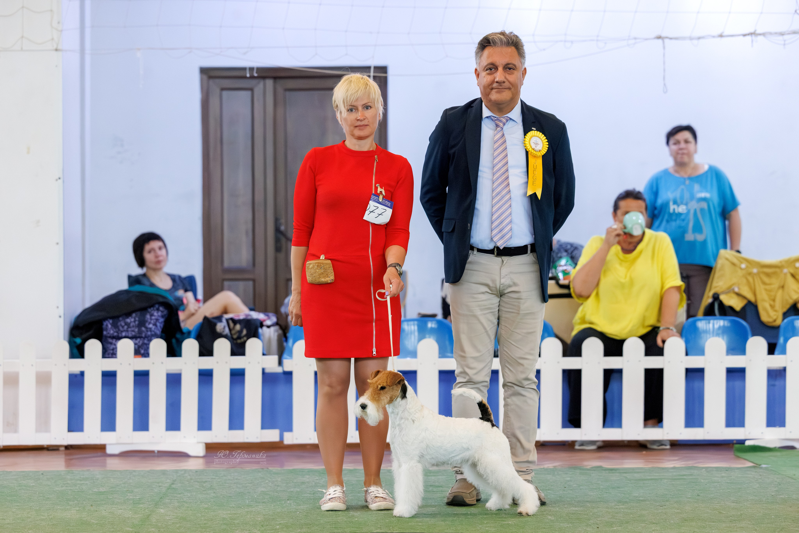 Батуми 3хCACIB 27-29.06.2025. Фотограф-анималист Юлия Германика