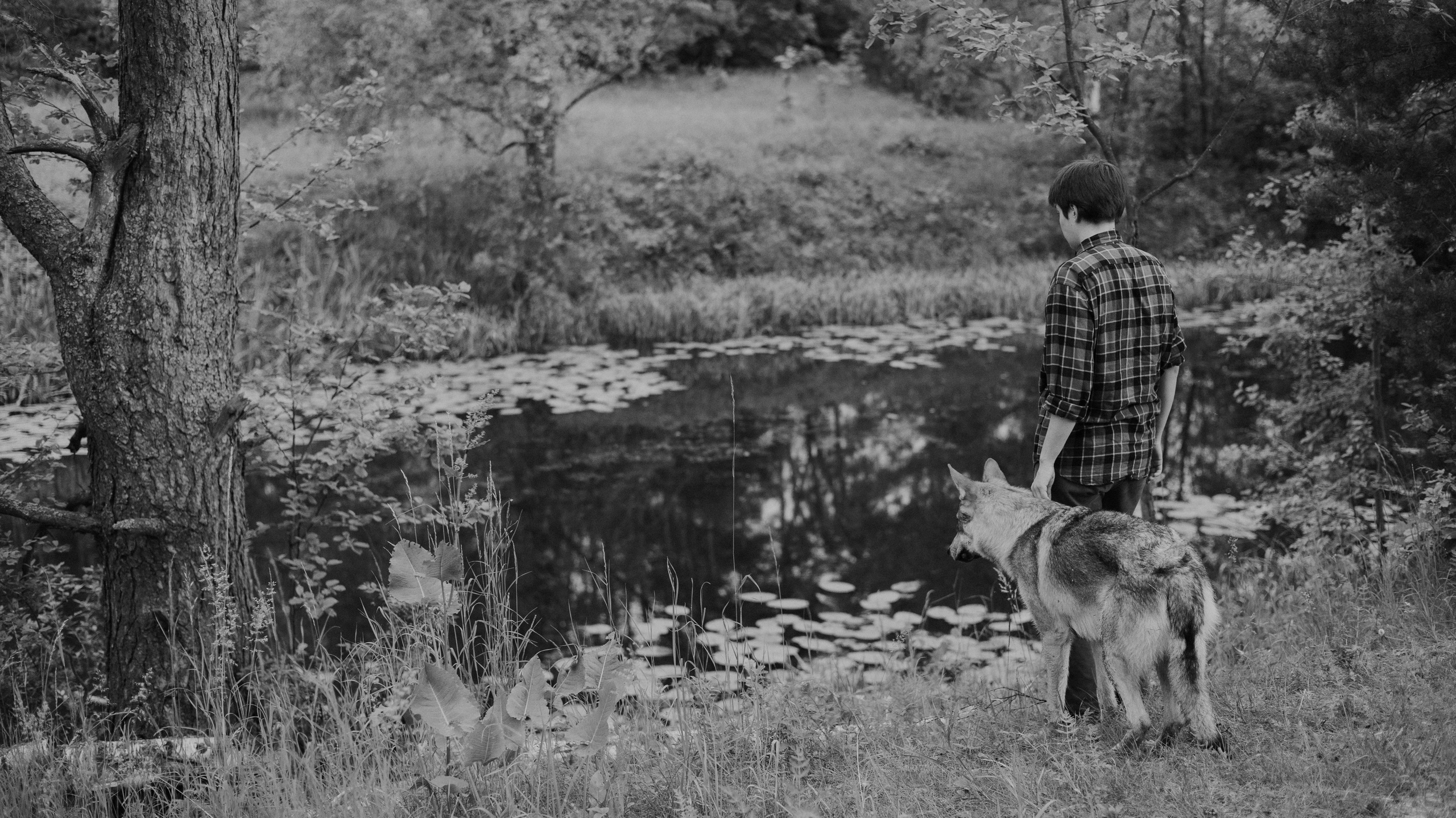Маша и Дэрил. Фотограф-анималист Богданова Полина