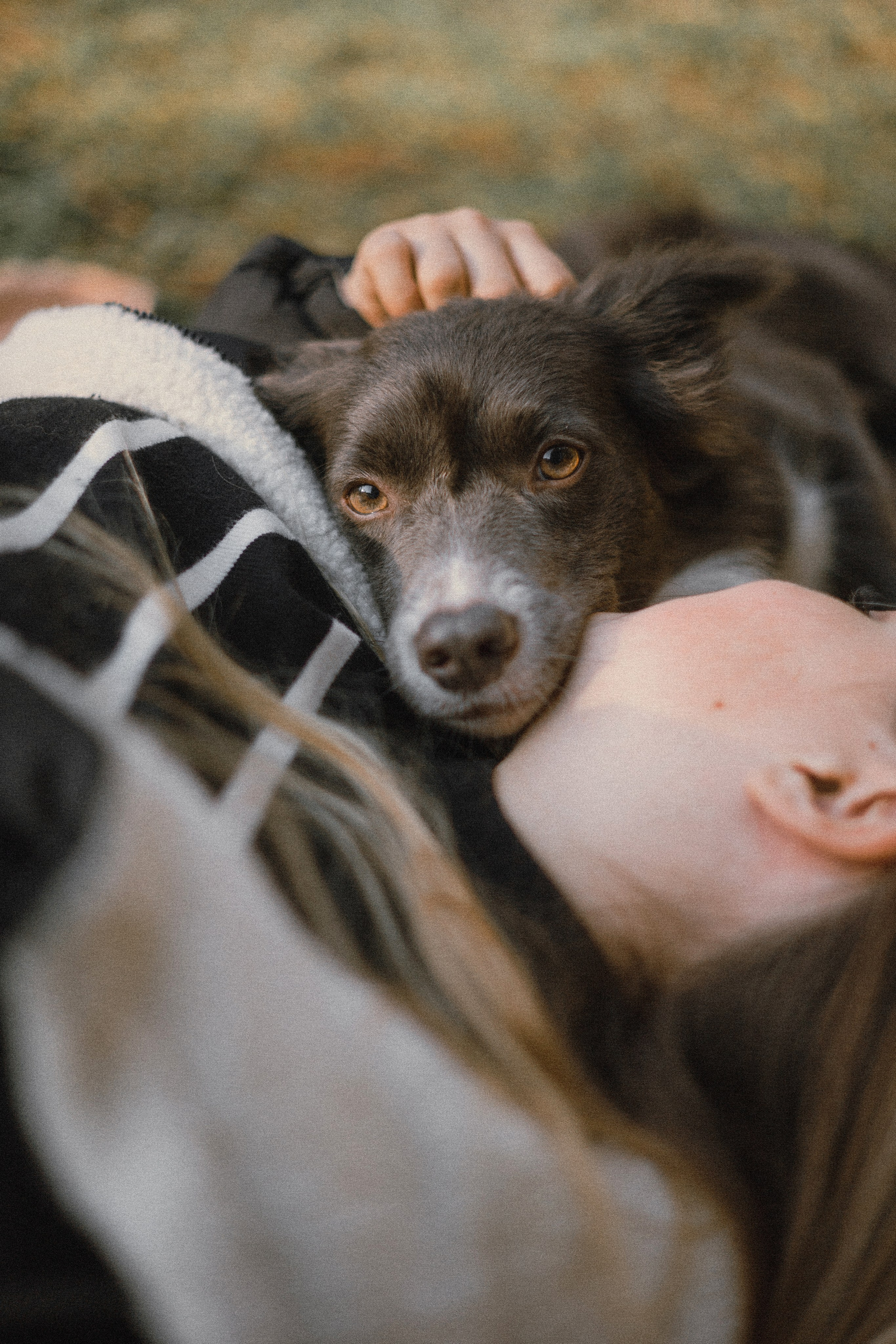 Даша и Дже. Фотограф-анималист Богданова Полина