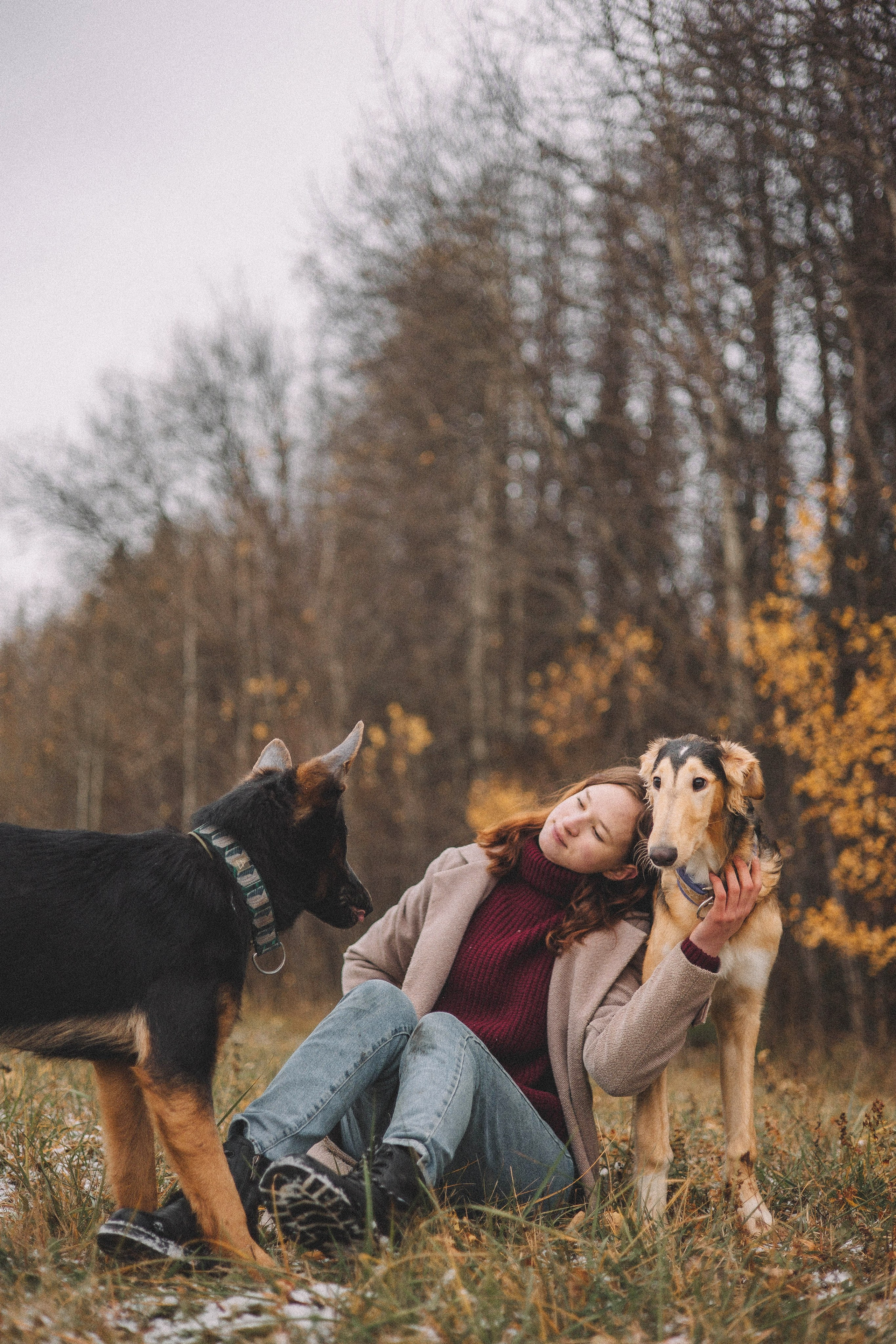 Алена, Леви и Микаса. Фотограф-анималист Богданова Полина