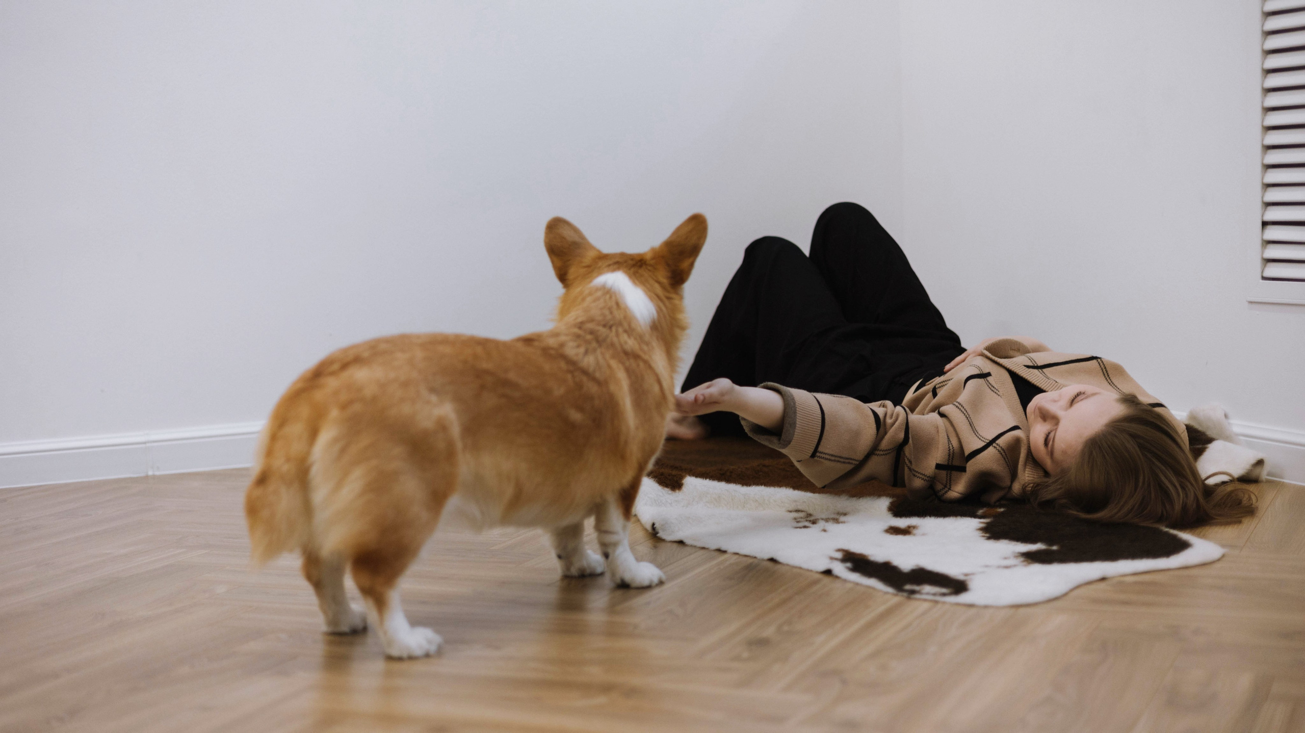 Настя и Мия. Фотограф-анималист Богданова Полина