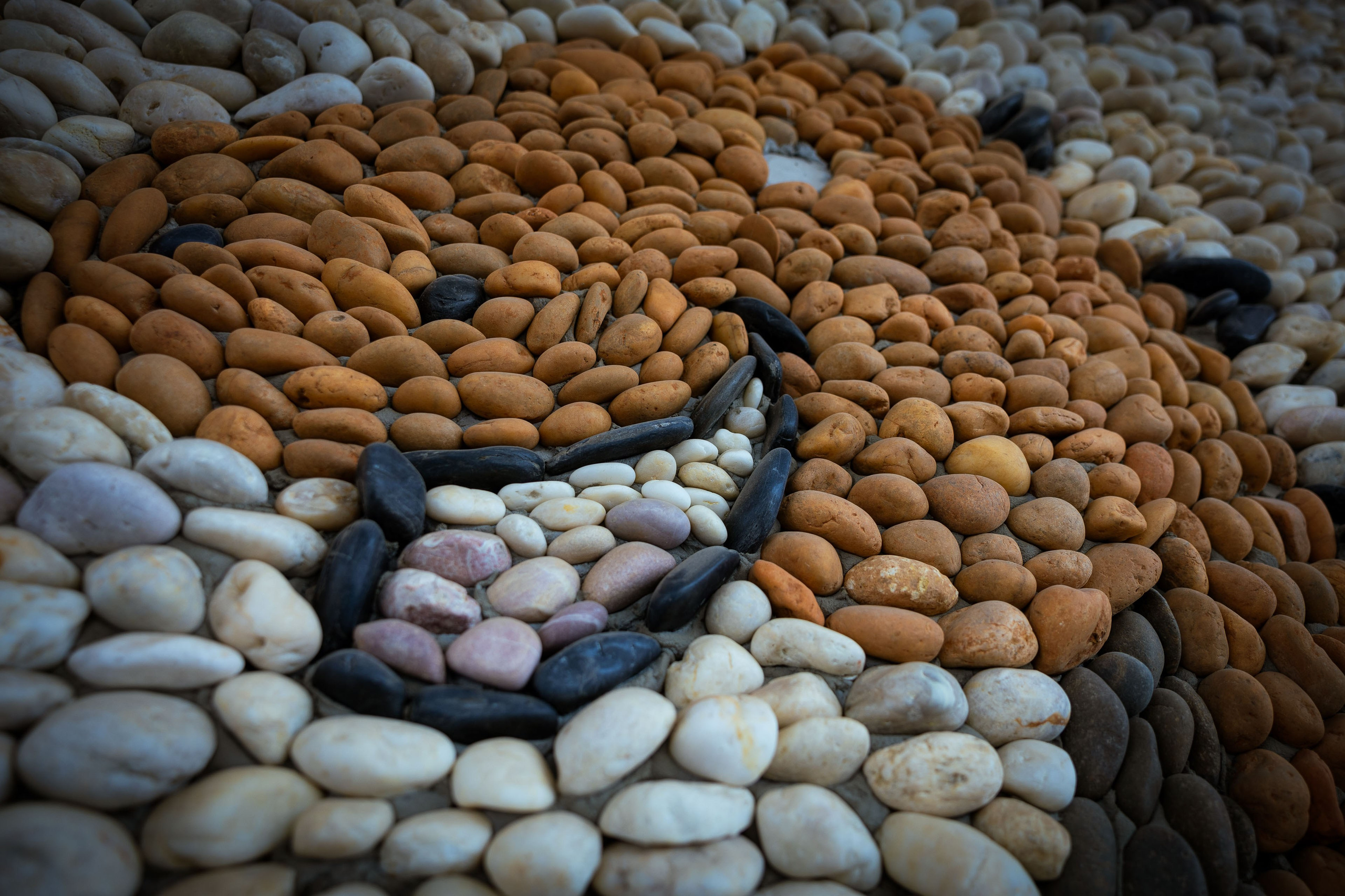 Таиланд (зима 2025). Фотограф Виноградов Константин