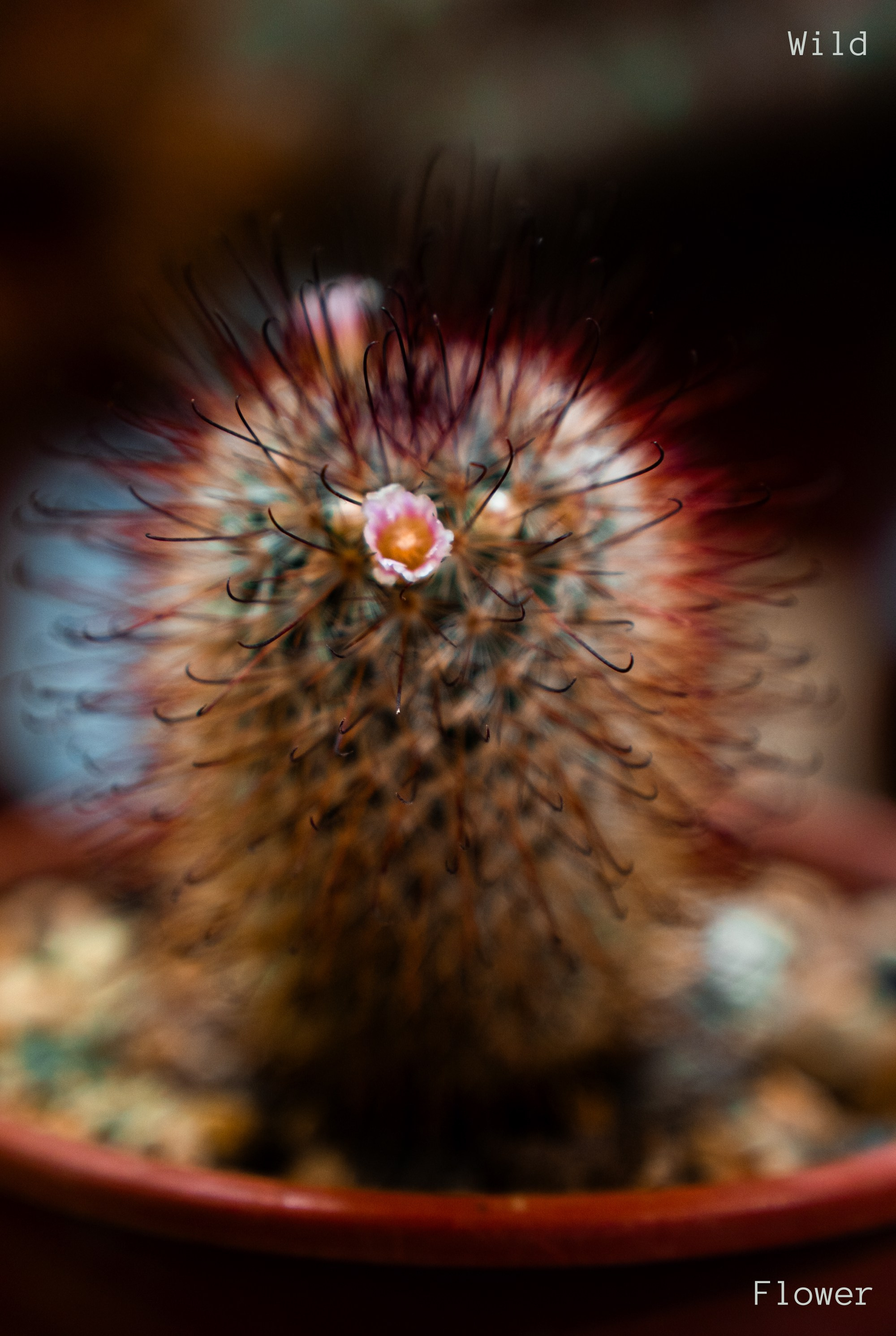 Графика. Eyecatcher Production