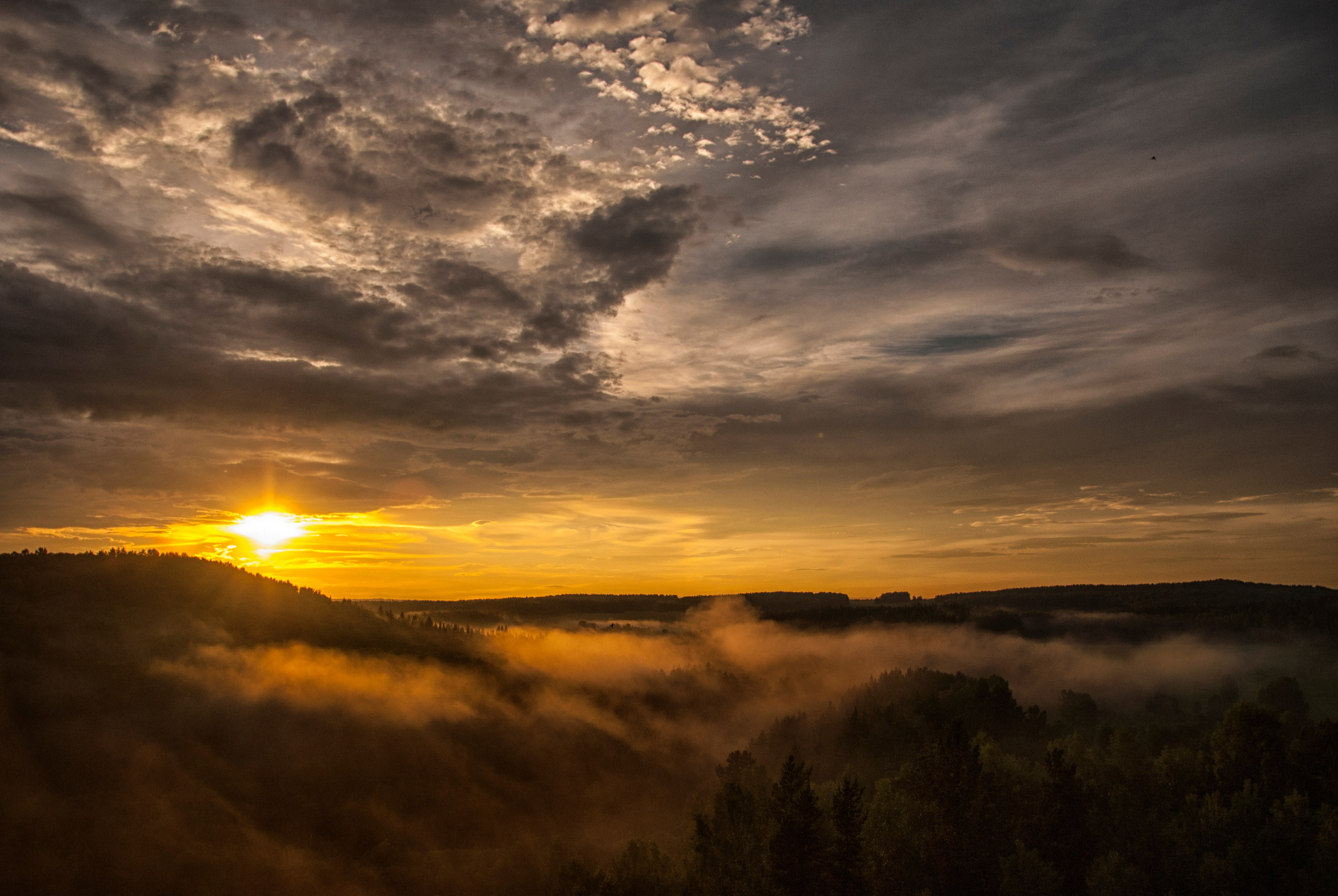 ПРИРОДА. От прошлого к будущему авиации через фотографию