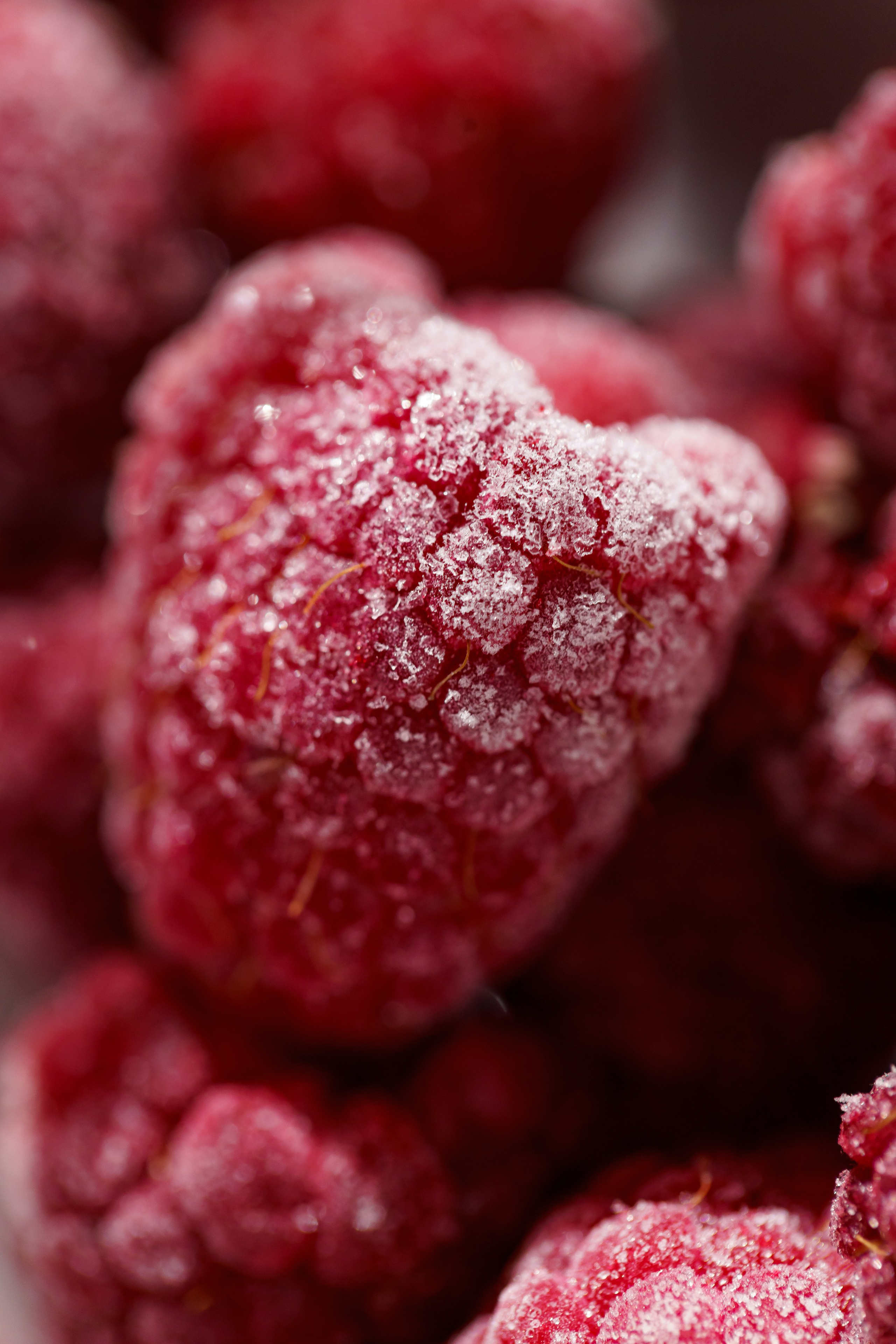 Ресторан «Murmansk». Контент фотограф в Москве Александр Хитько