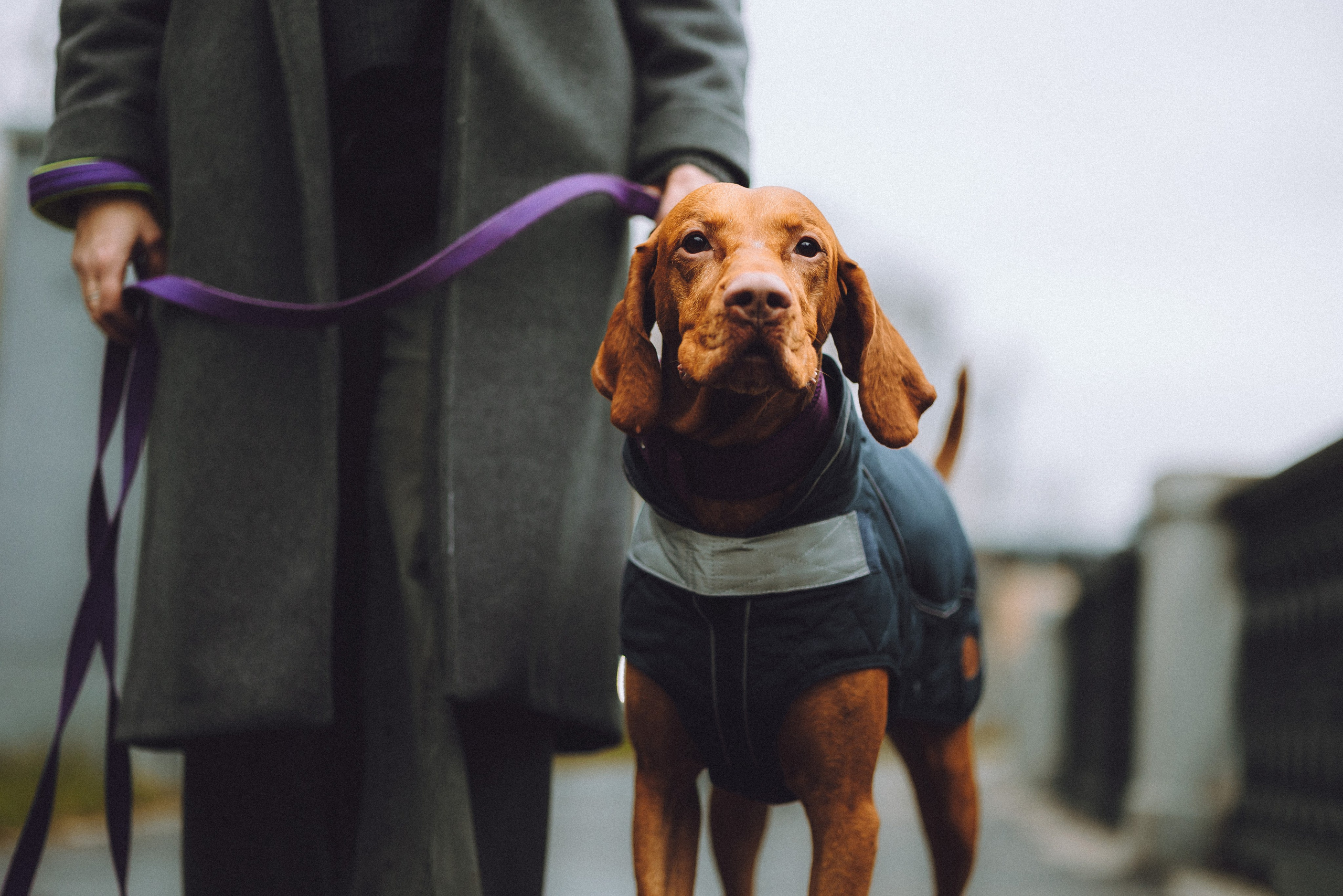 Екатерина и Даня