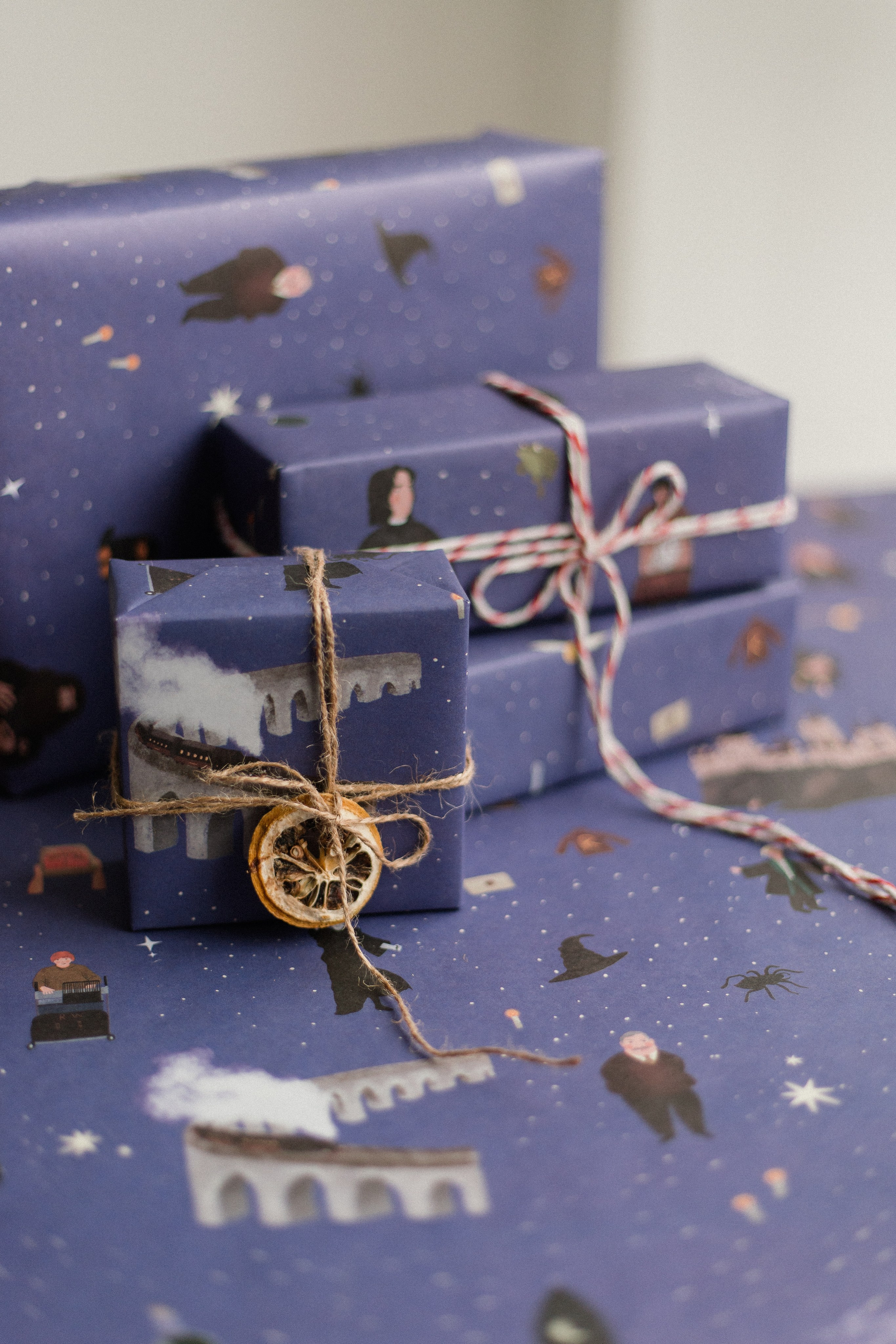 Duet.Pet. Фотограф в Москве Виктория Губина