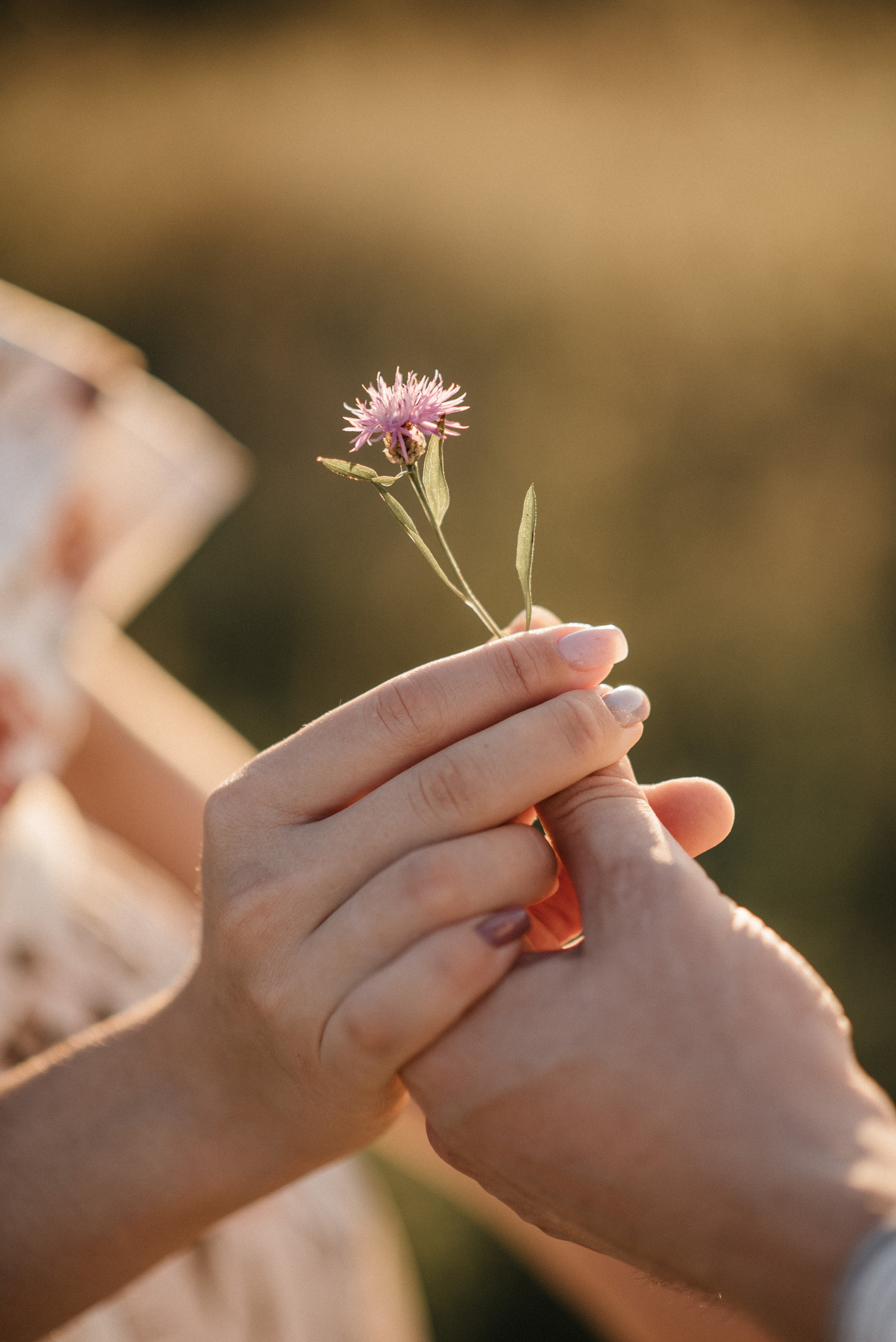 Юля и Дима. Свадебный и семейный фотограф в Белгороде