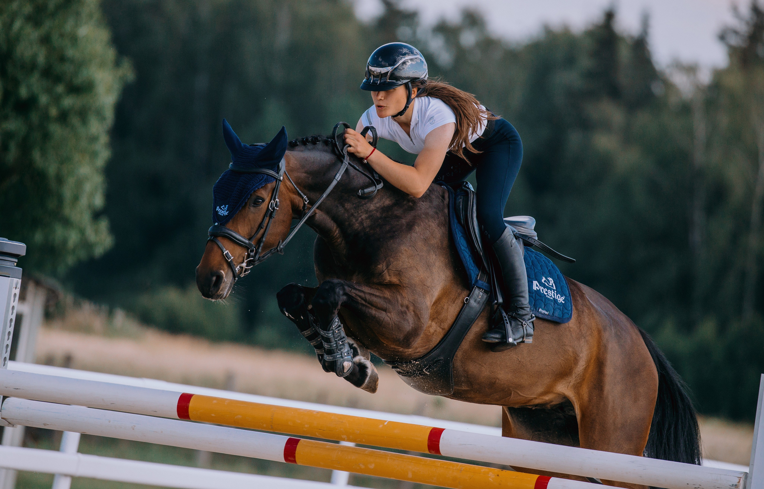 Тренировки. Фотограф-анималист Ксендзова Кристина