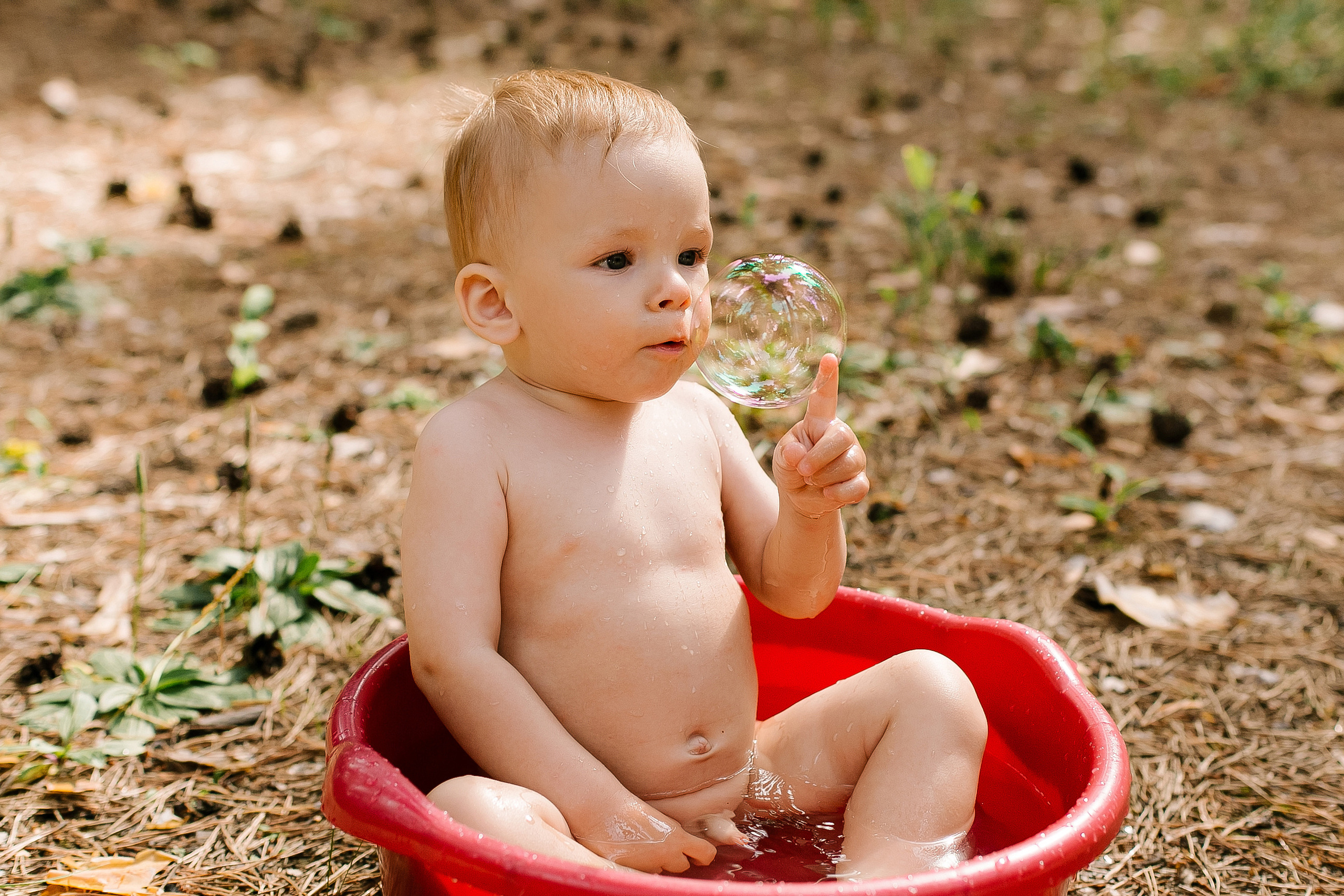 Лесные приключения Макара. Свадебный, семейный и детский фотограф в г. Абакан респ. Хакасия Любов