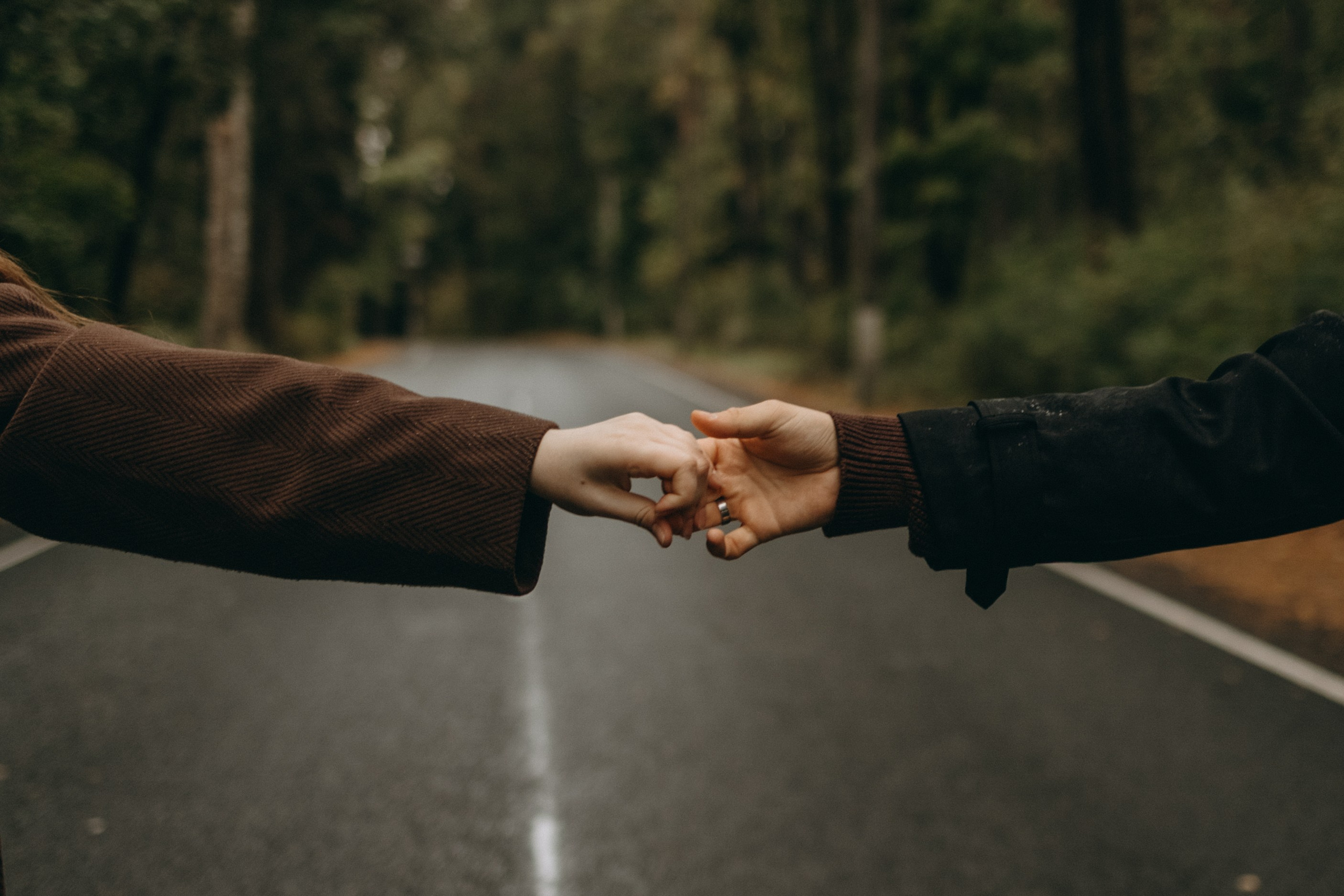 Жу и ее семья. Фотограф — Анималист | Санкт-Петербург