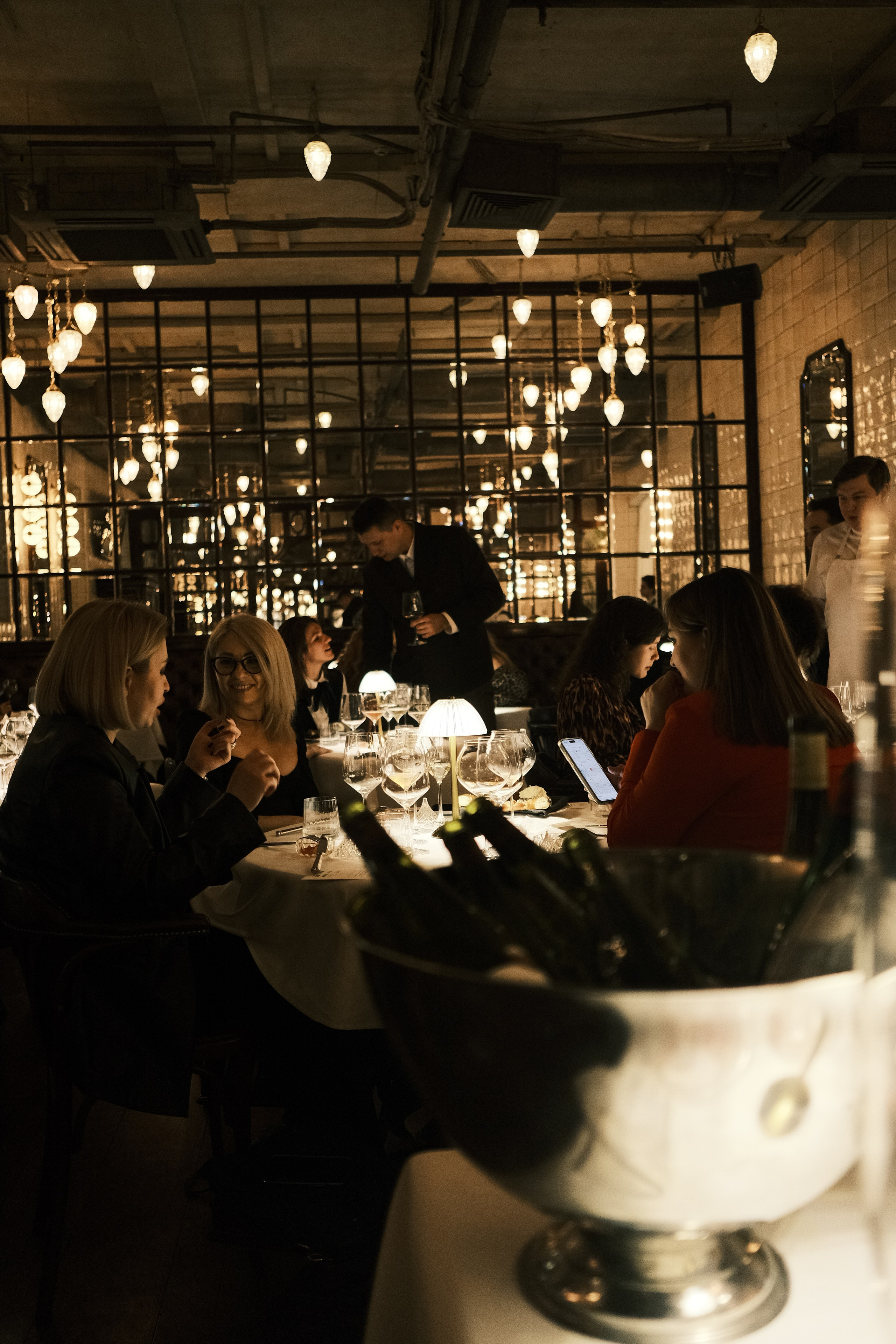 Шануар / Винный ужин. DISEMICHASNOVA