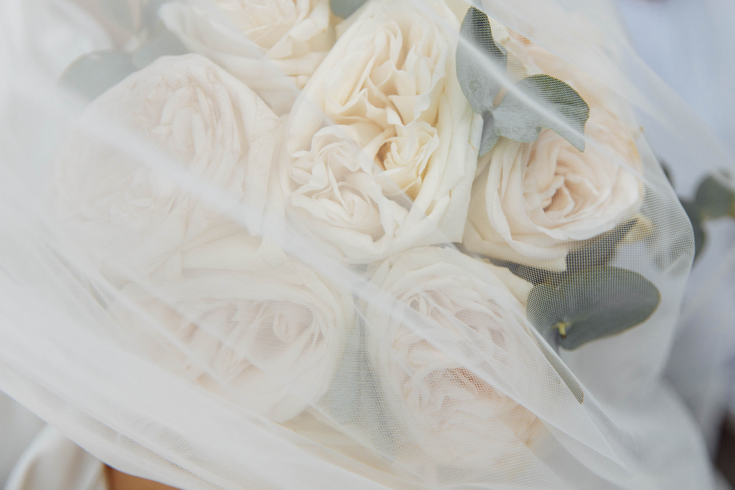 Юлия и Алексей. Свадебный, семейный и портретный фотограф Ксения Краснова