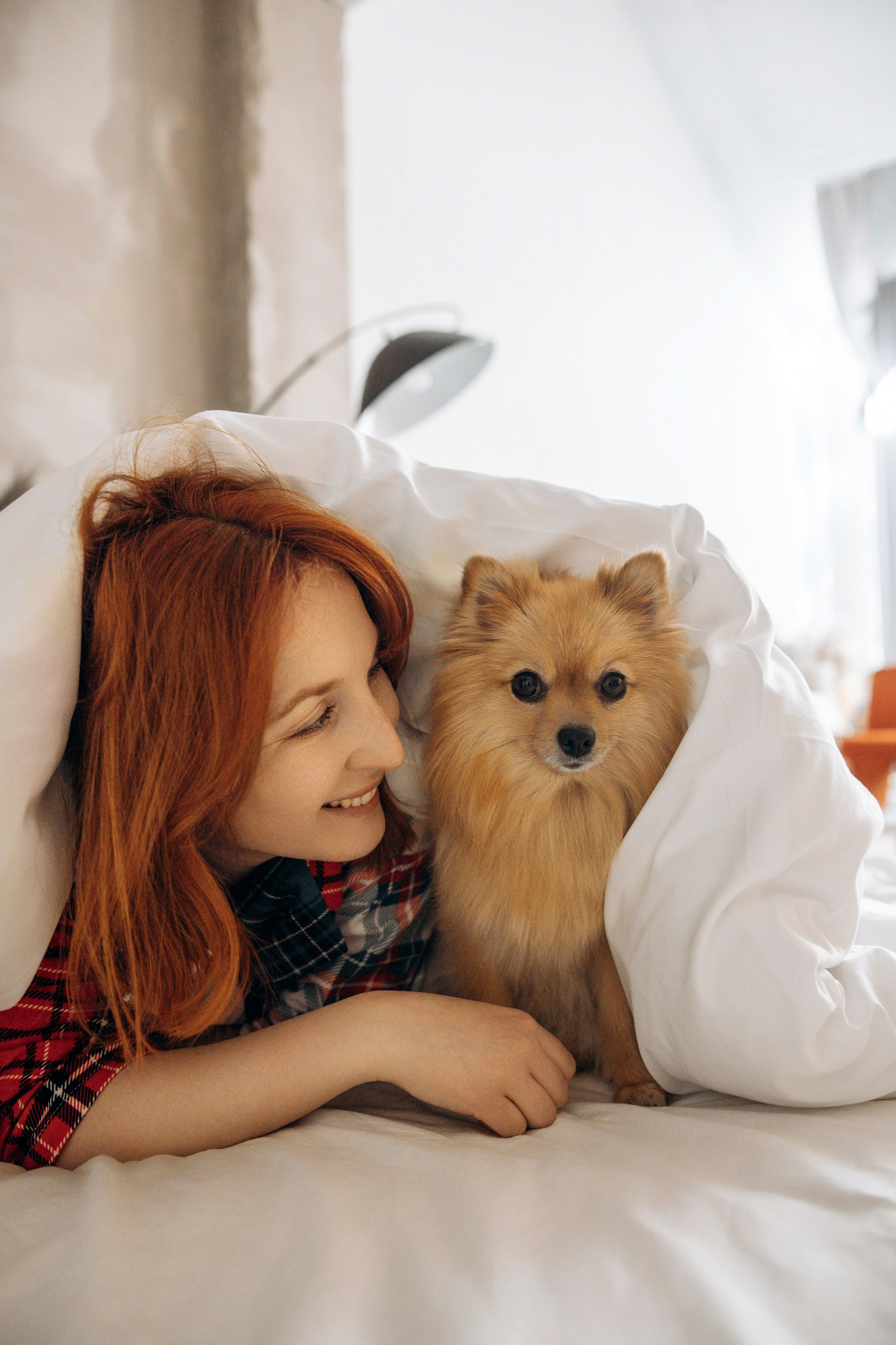 Съемка в студии с собакой. Анастасия Белаш