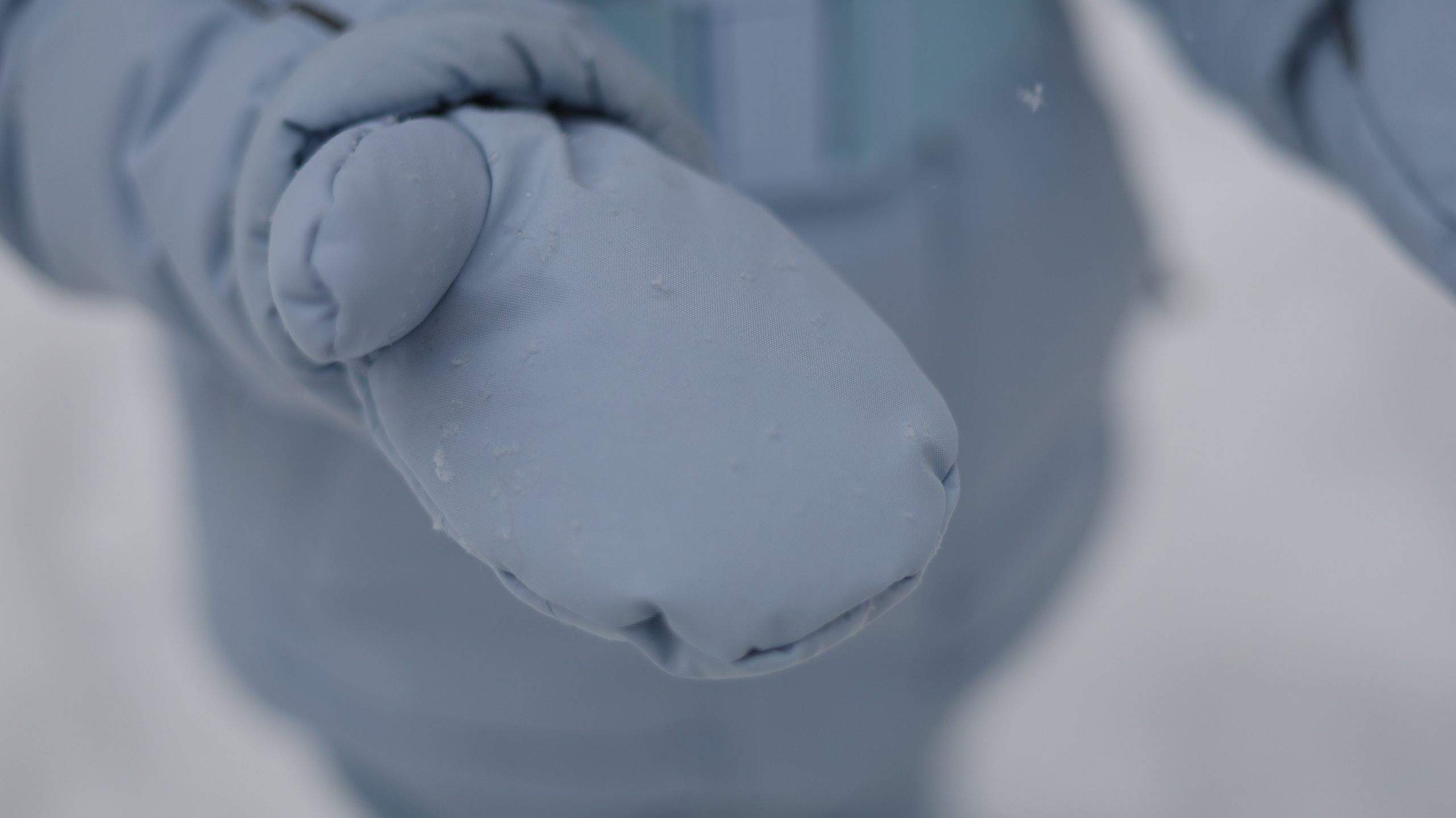 Семейная съемка. Семейный и детский фотограф в Москве Анастасия Крейнина