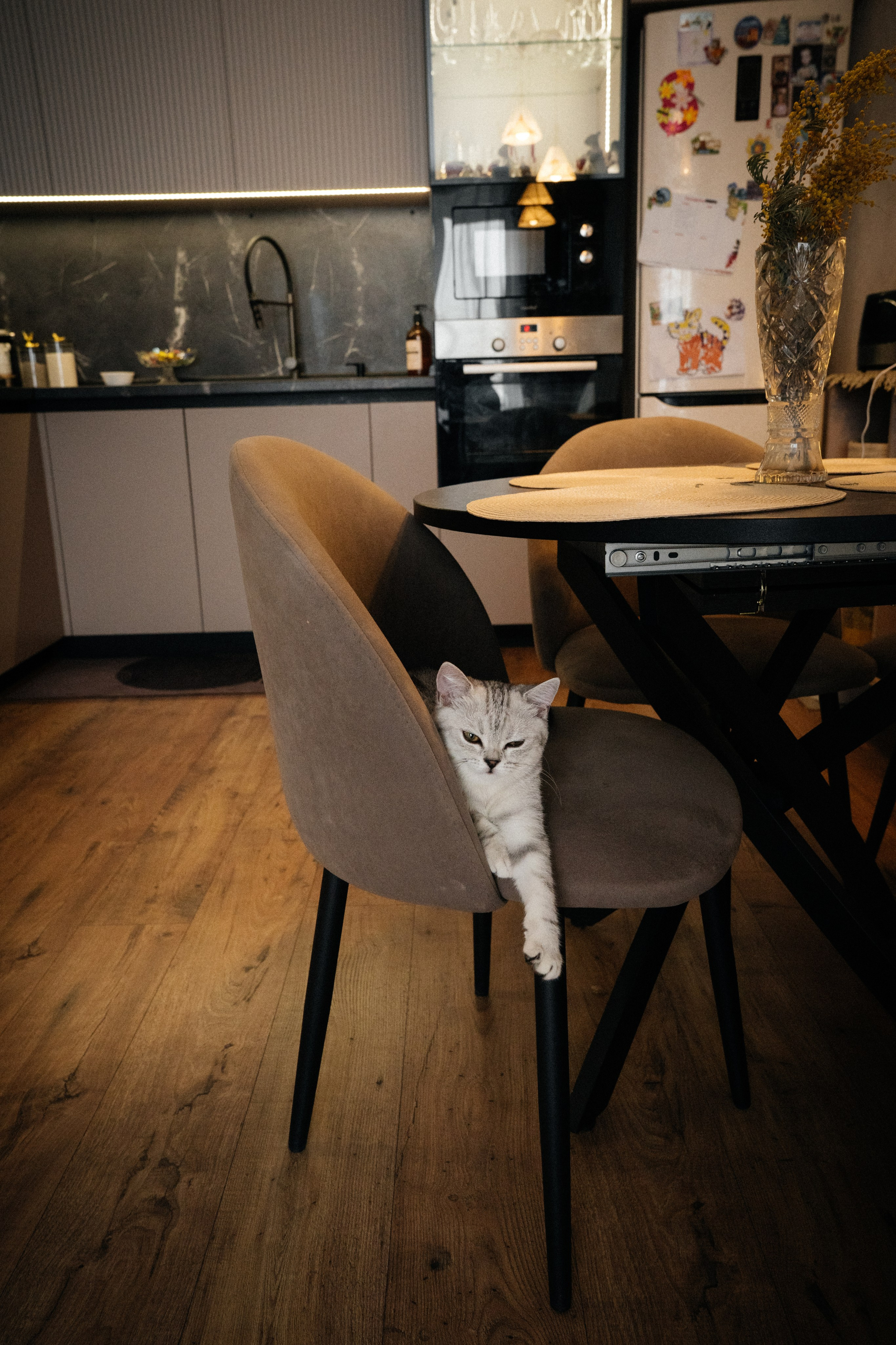 Семья Ксении и Максима. Фотограф | Юлия Арт| Обучение