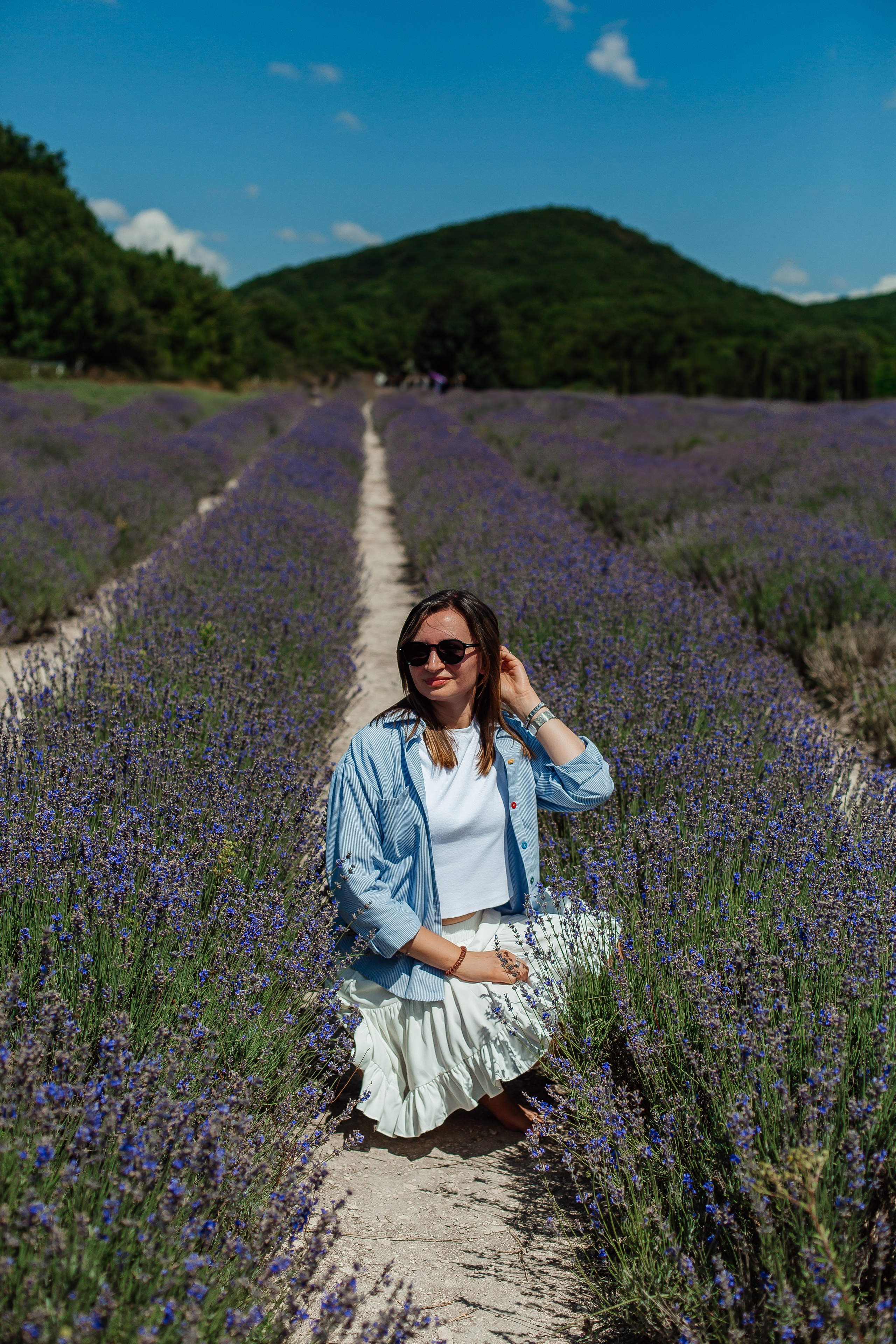 Лавандовые поля