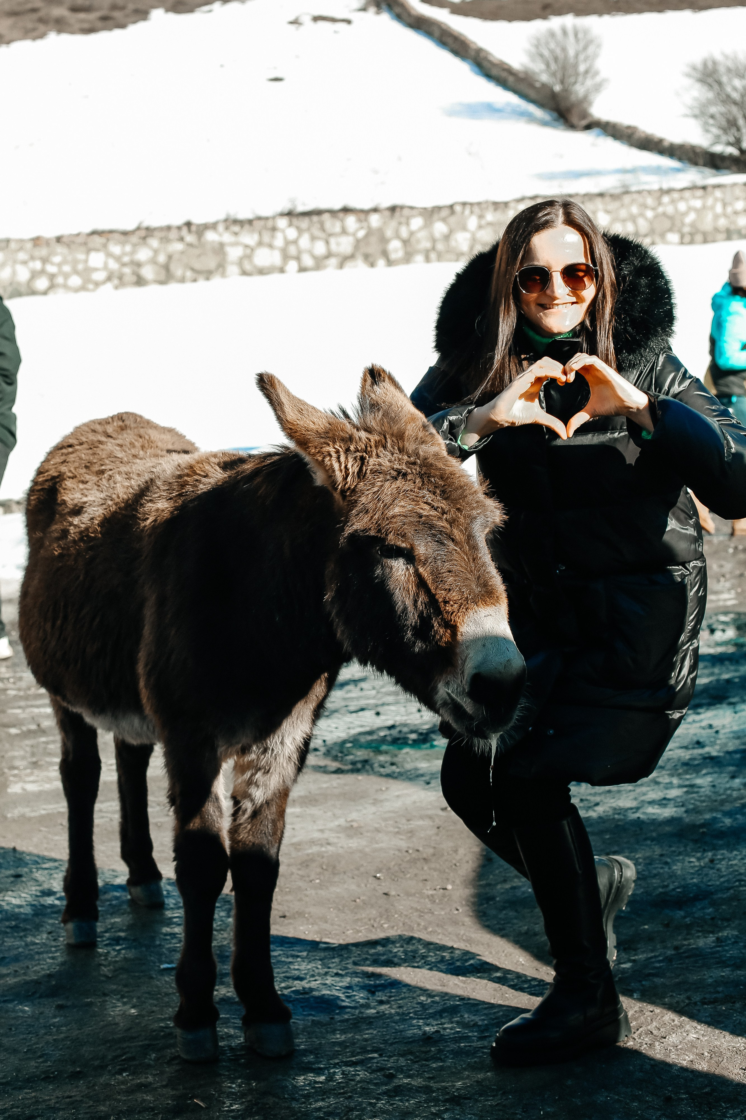 Северная Осетия