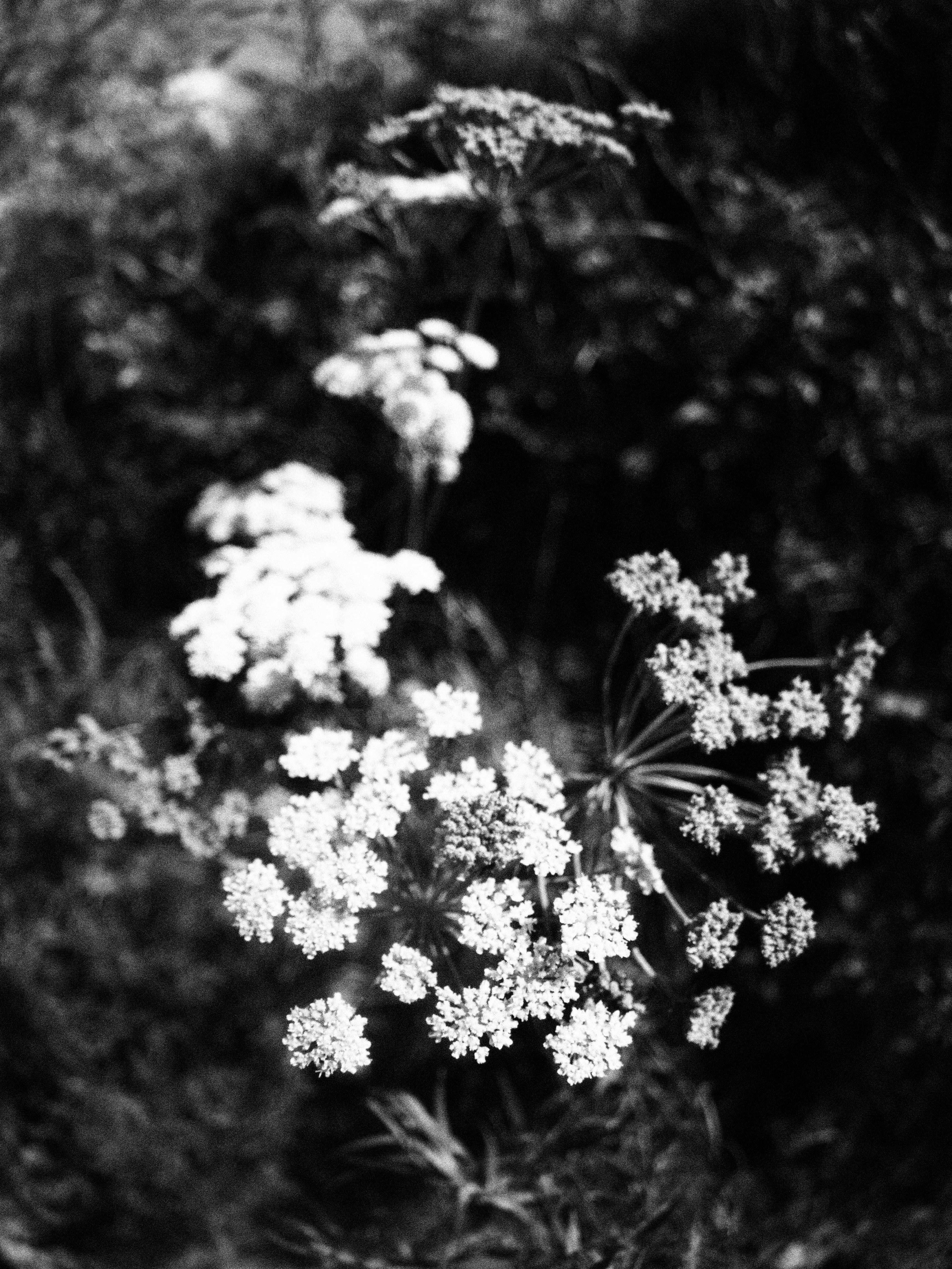 Промежуточные моменты (2023)