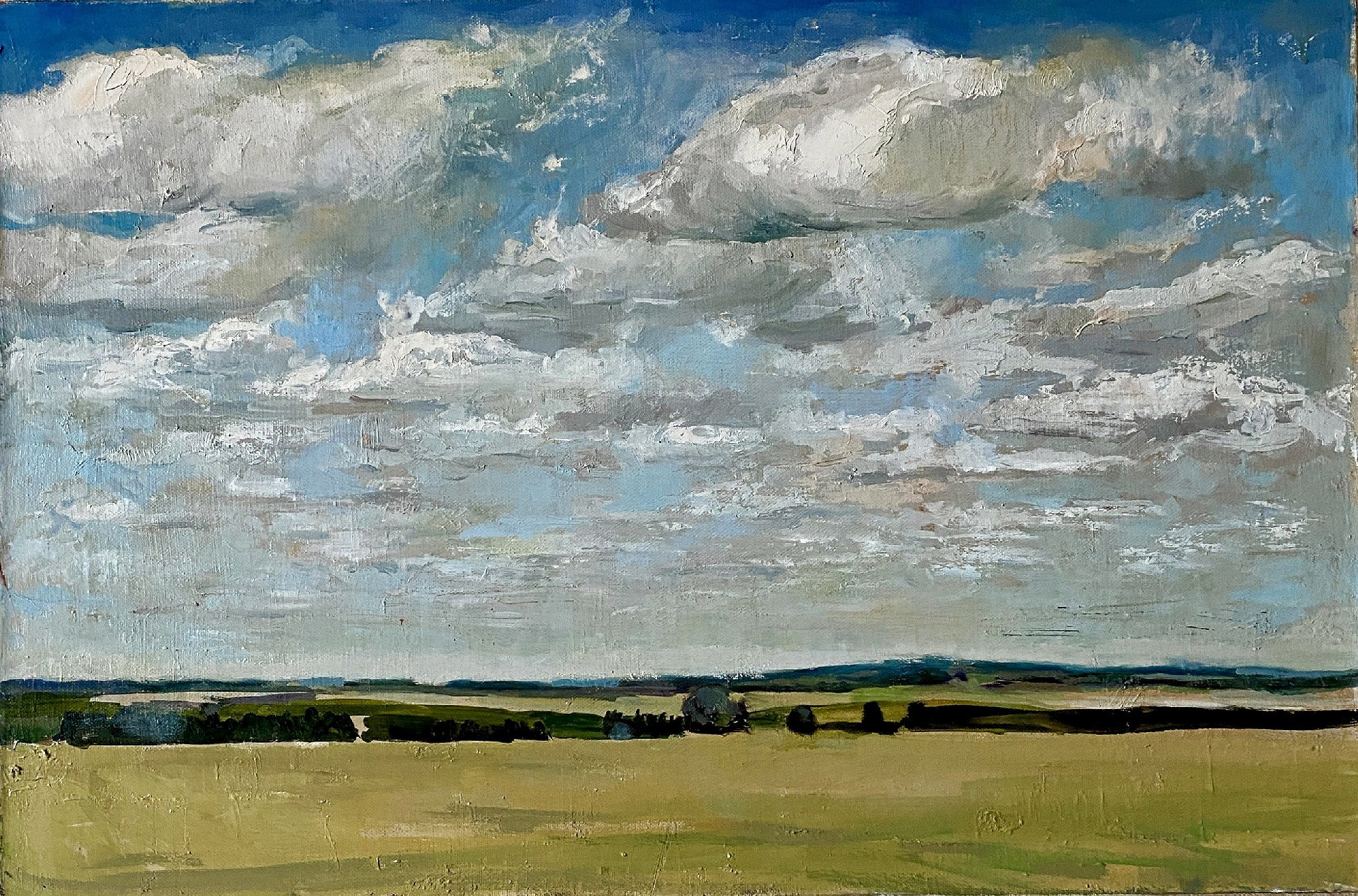 "Небо" 40Х55 см. Холст/масло, 2013. Продано. Живопись, пейзаж