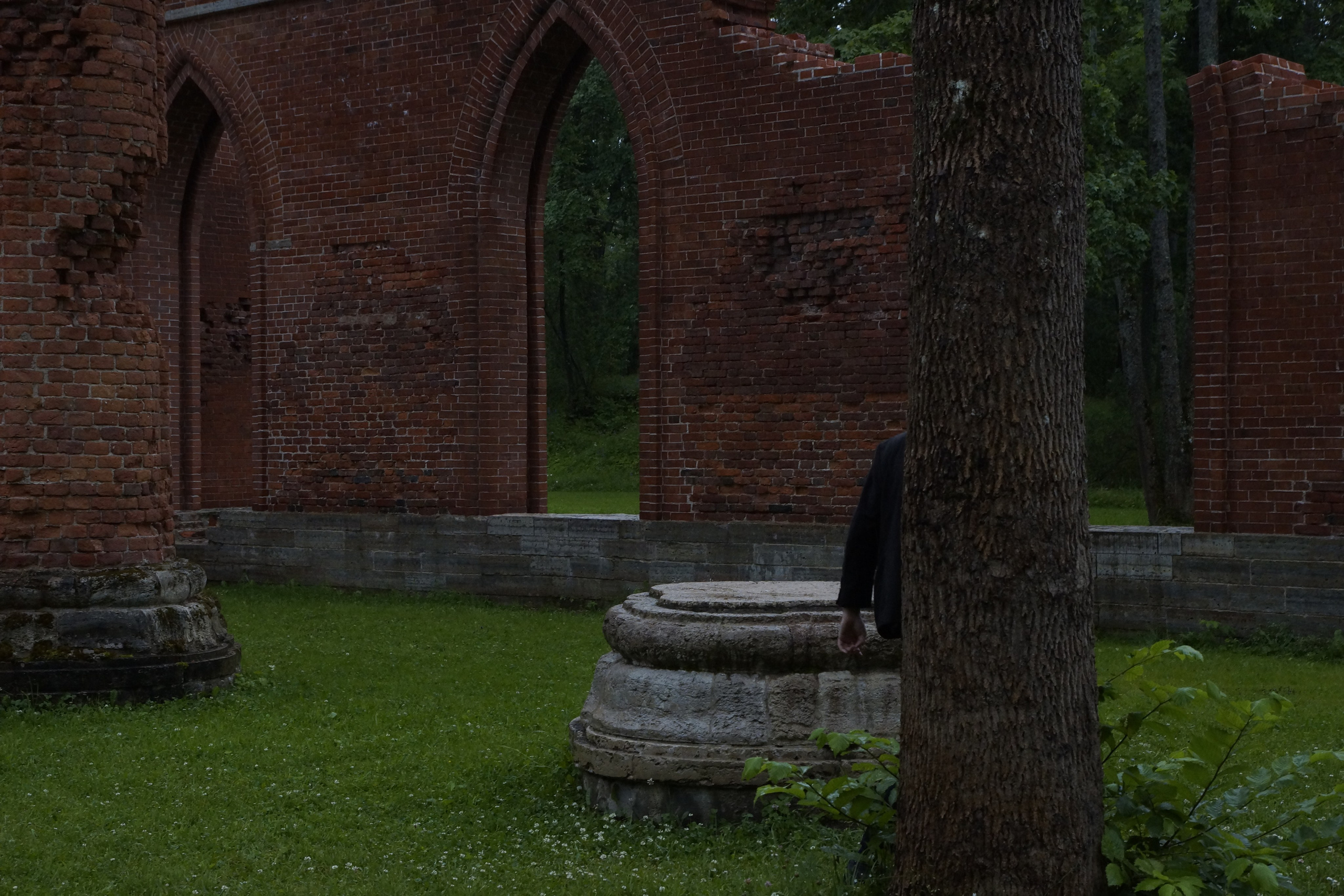 Шапель и палки. Потешная фотопленка