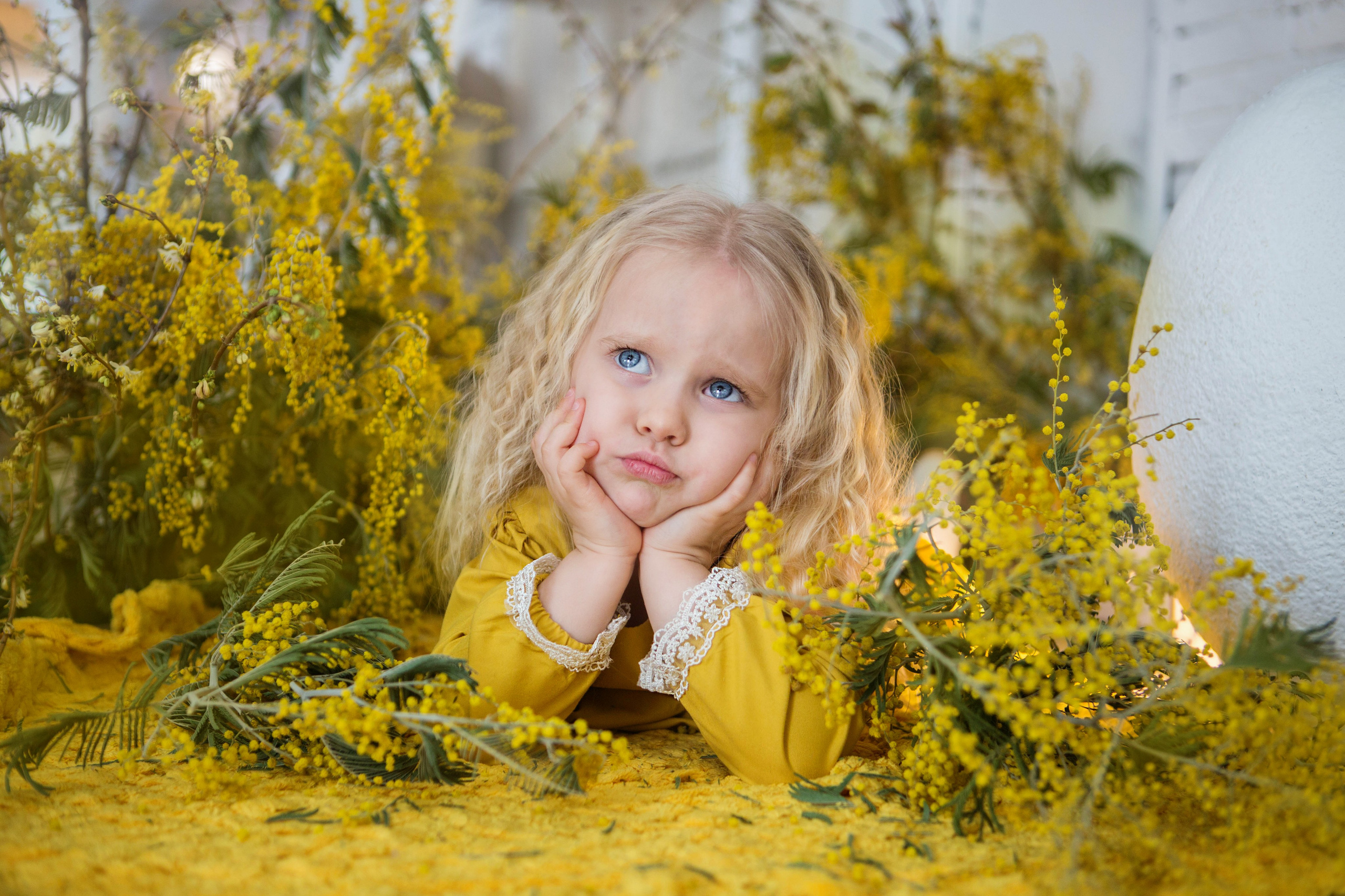 «Мимоза». студия «Авторская». Свадебный семейный и детский фотограф в Краснодаре Карина Федоровская