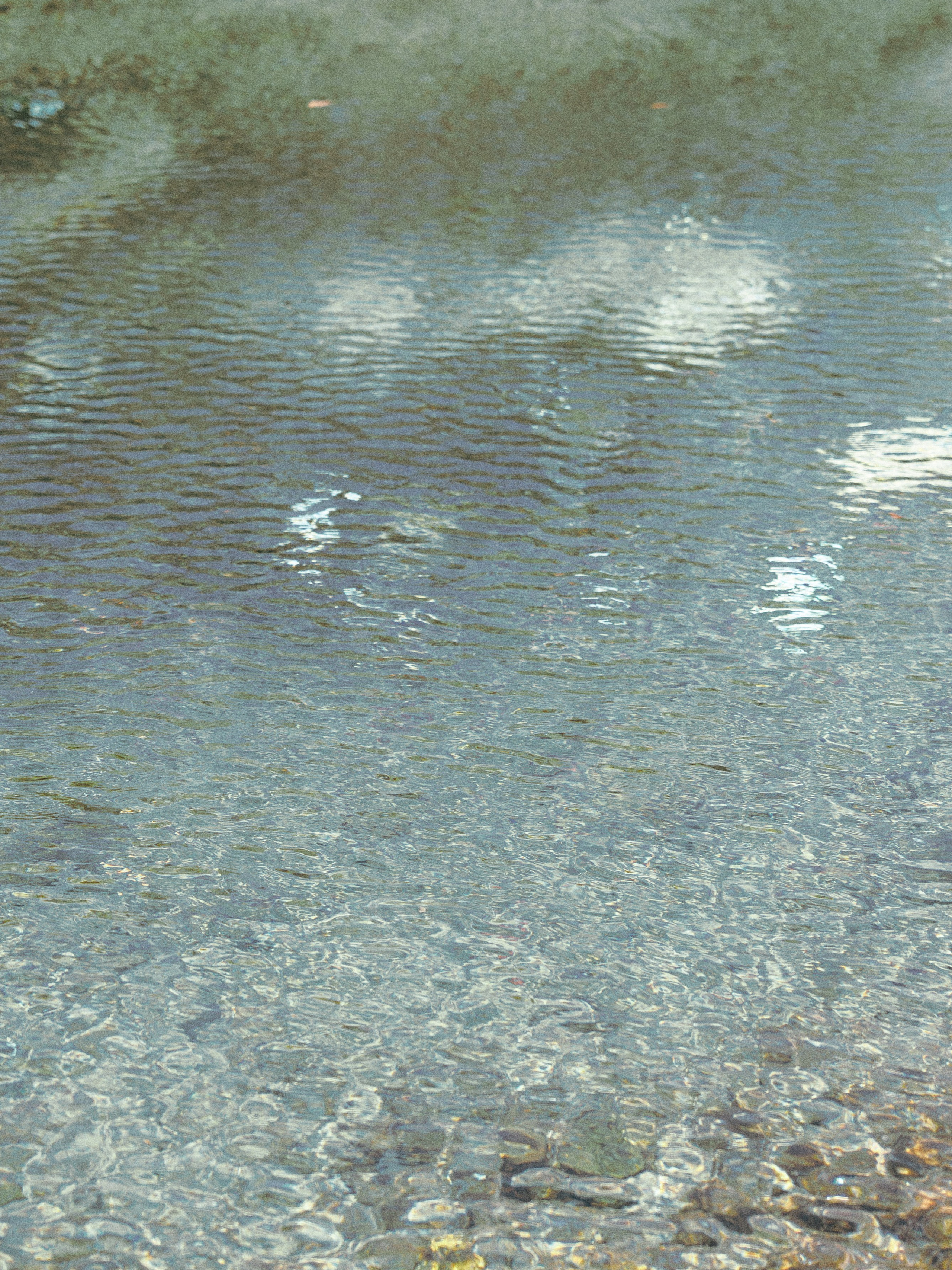 Природа. Jorgis Talè — photographer, kind person, teacher of arts and other mag